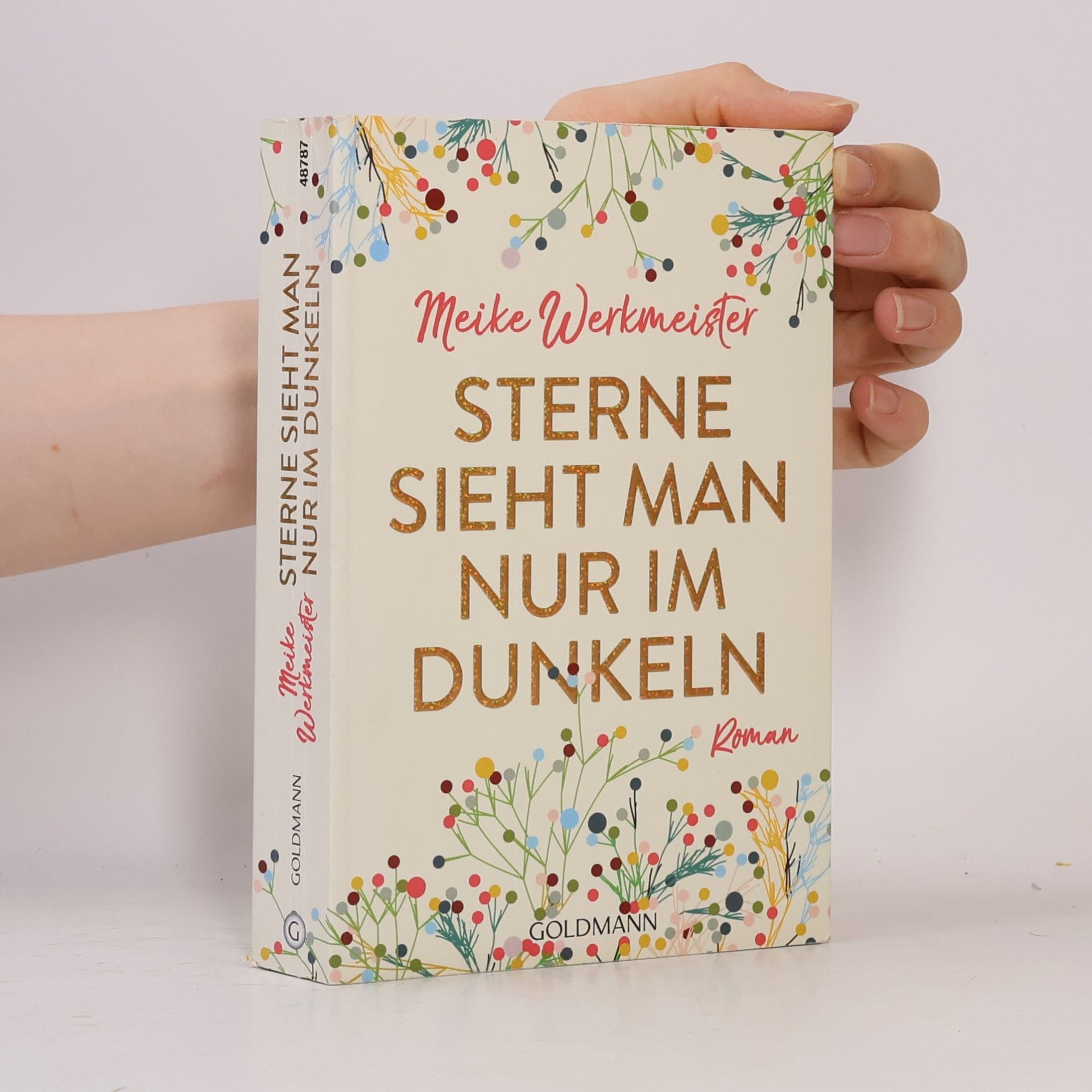 Meike Werkmeister Sterne sieht man nur im Dunkeln