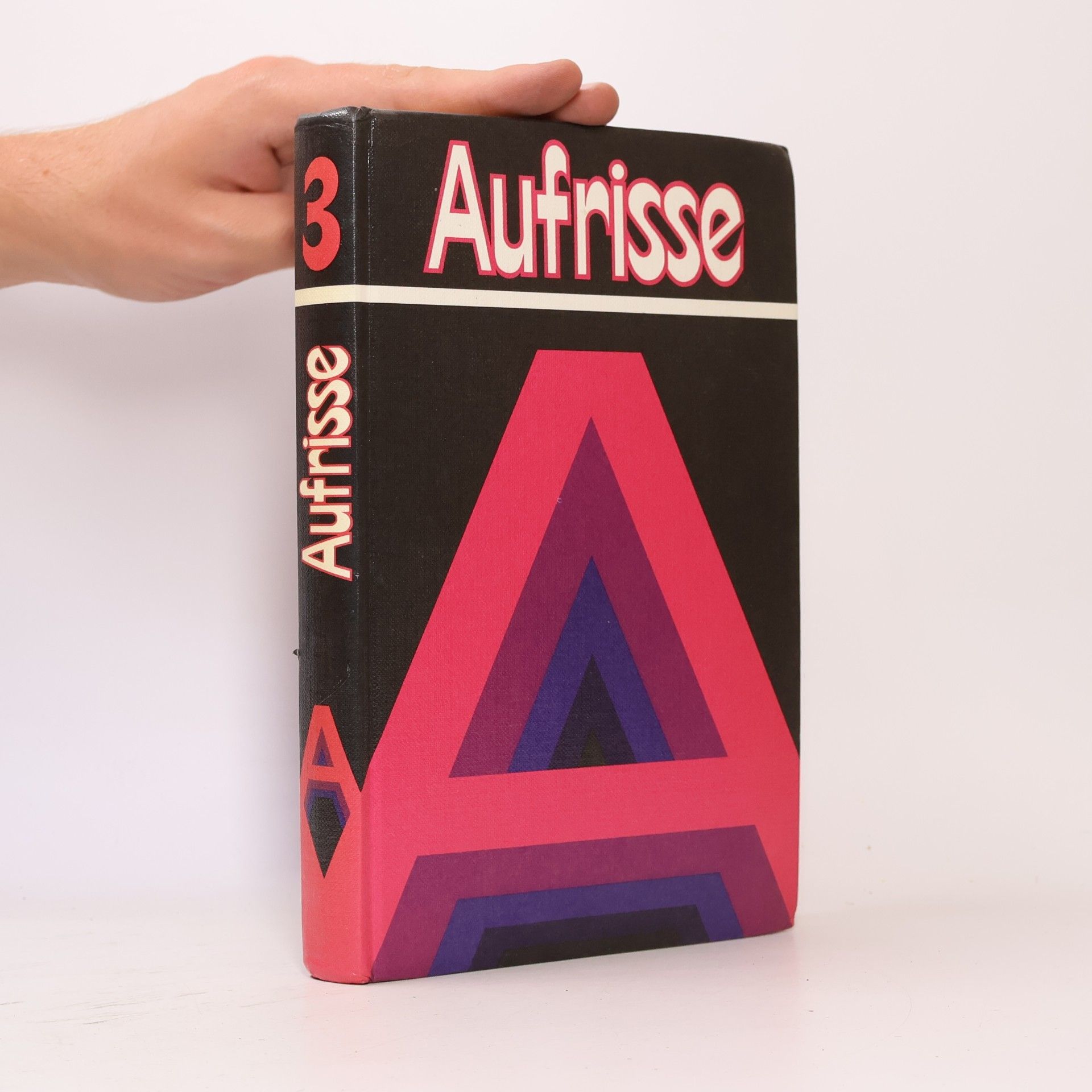 Kolektiv autorů Aufrisse