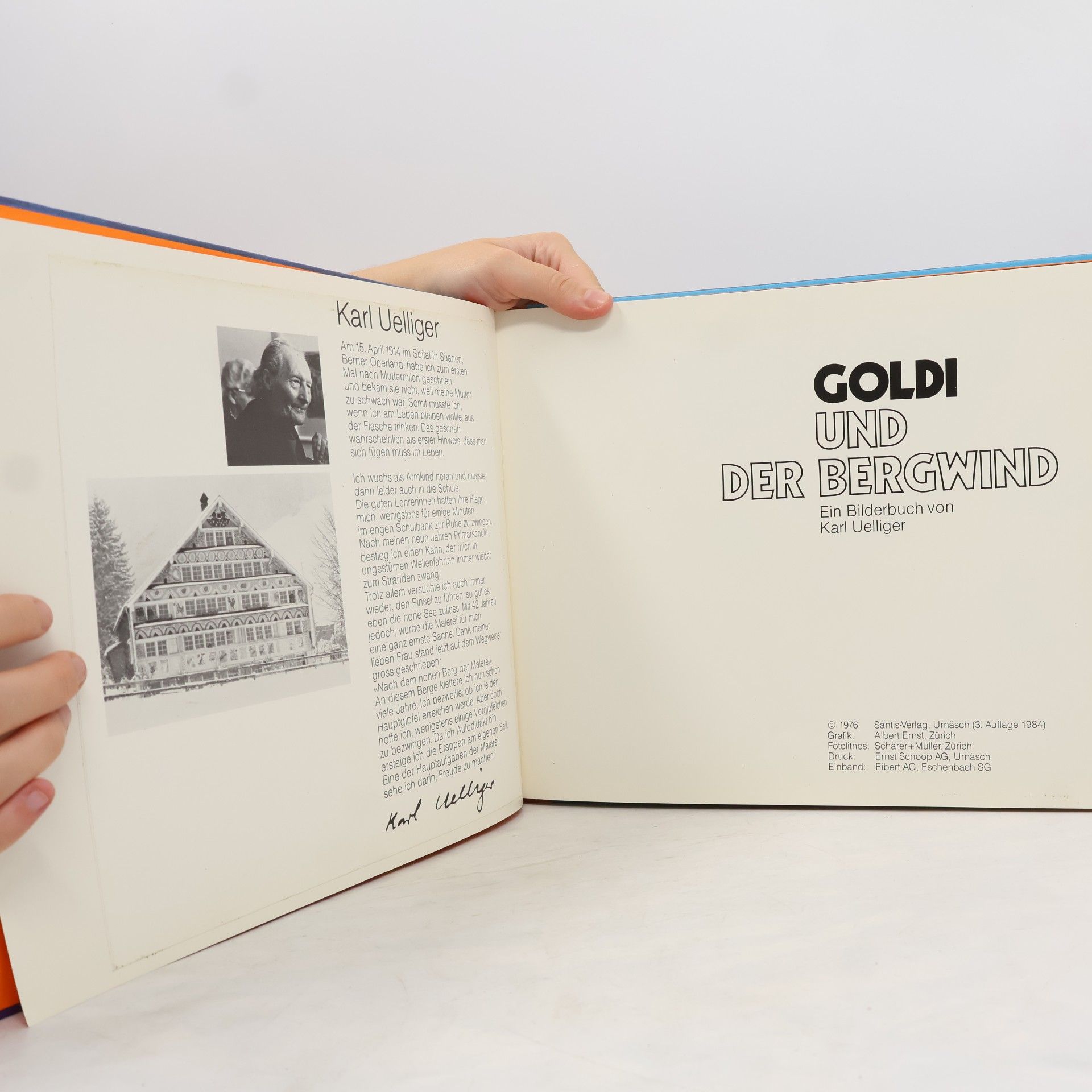 Autorenkollektiv Goldi und der Bergenwind