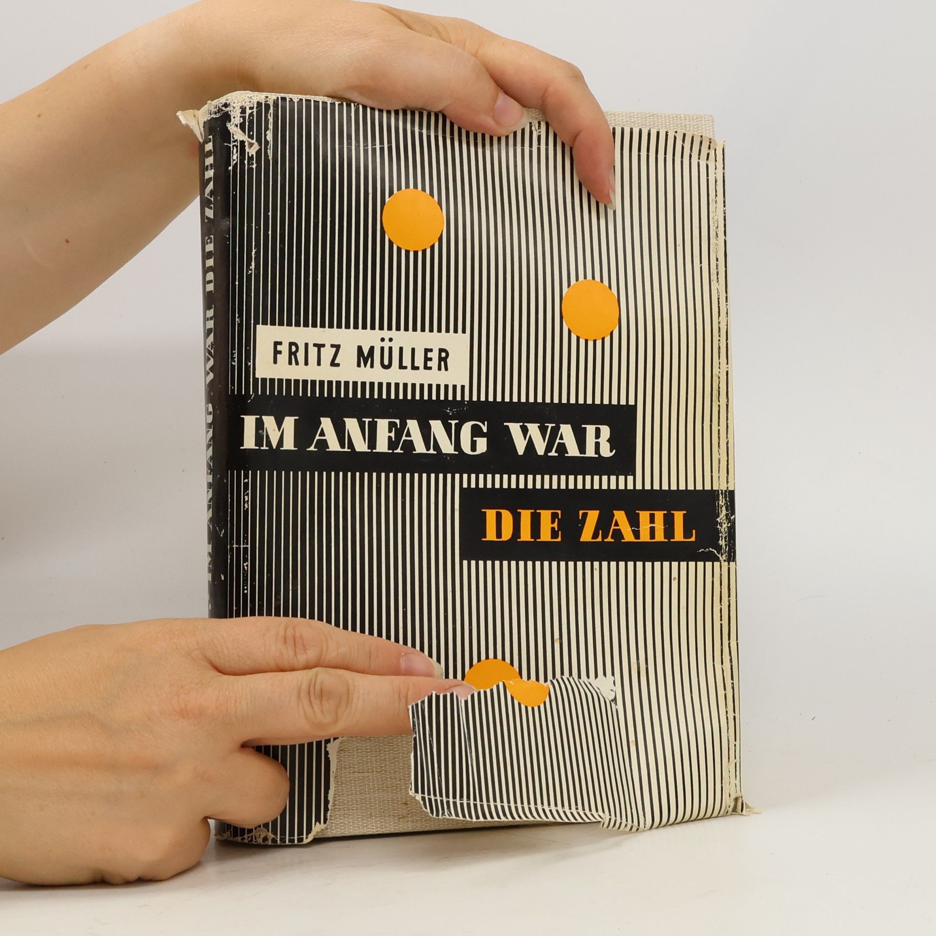 Fritz Müller Im Anfang war die Zahl