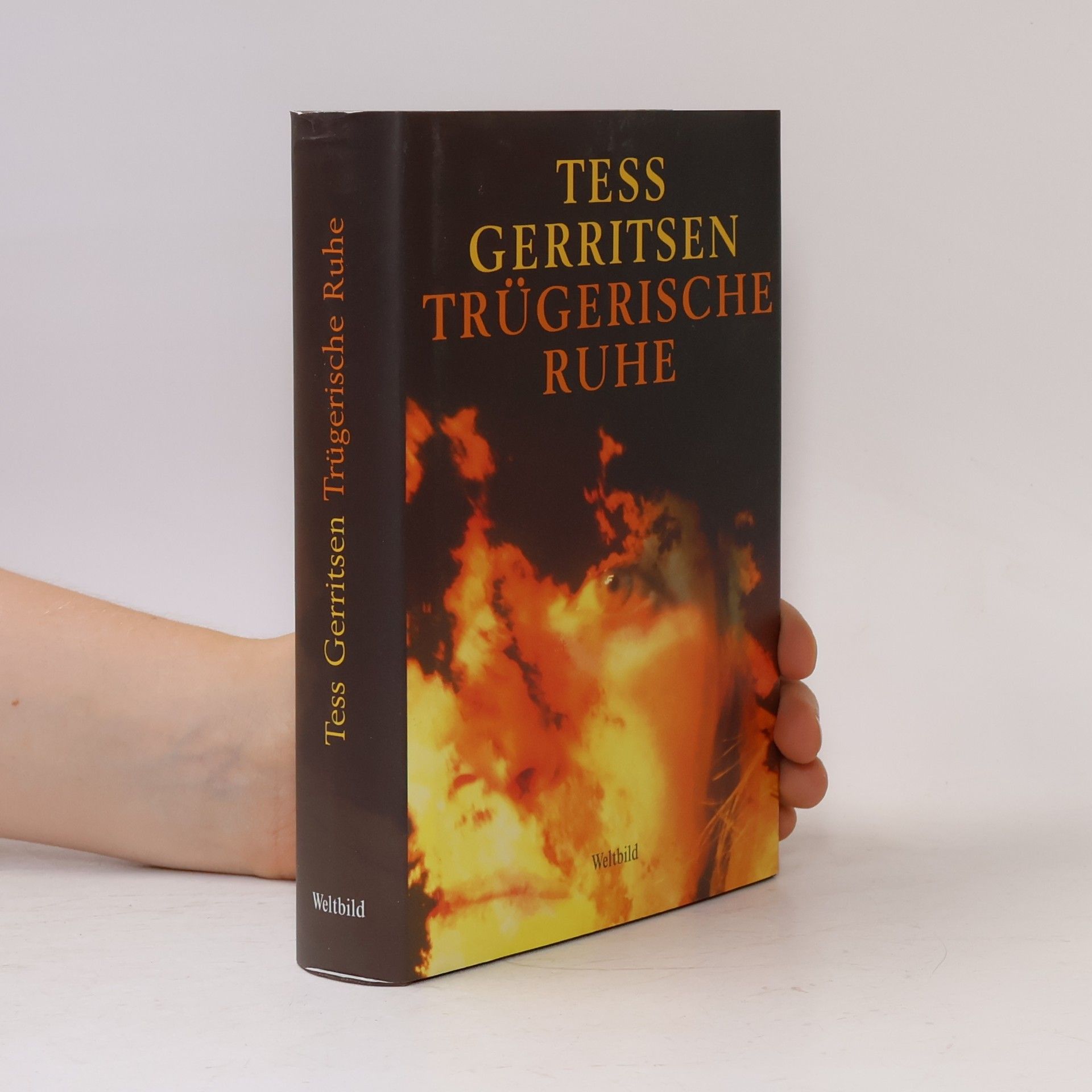 Tess Gerritsen Trügerische Ruhe