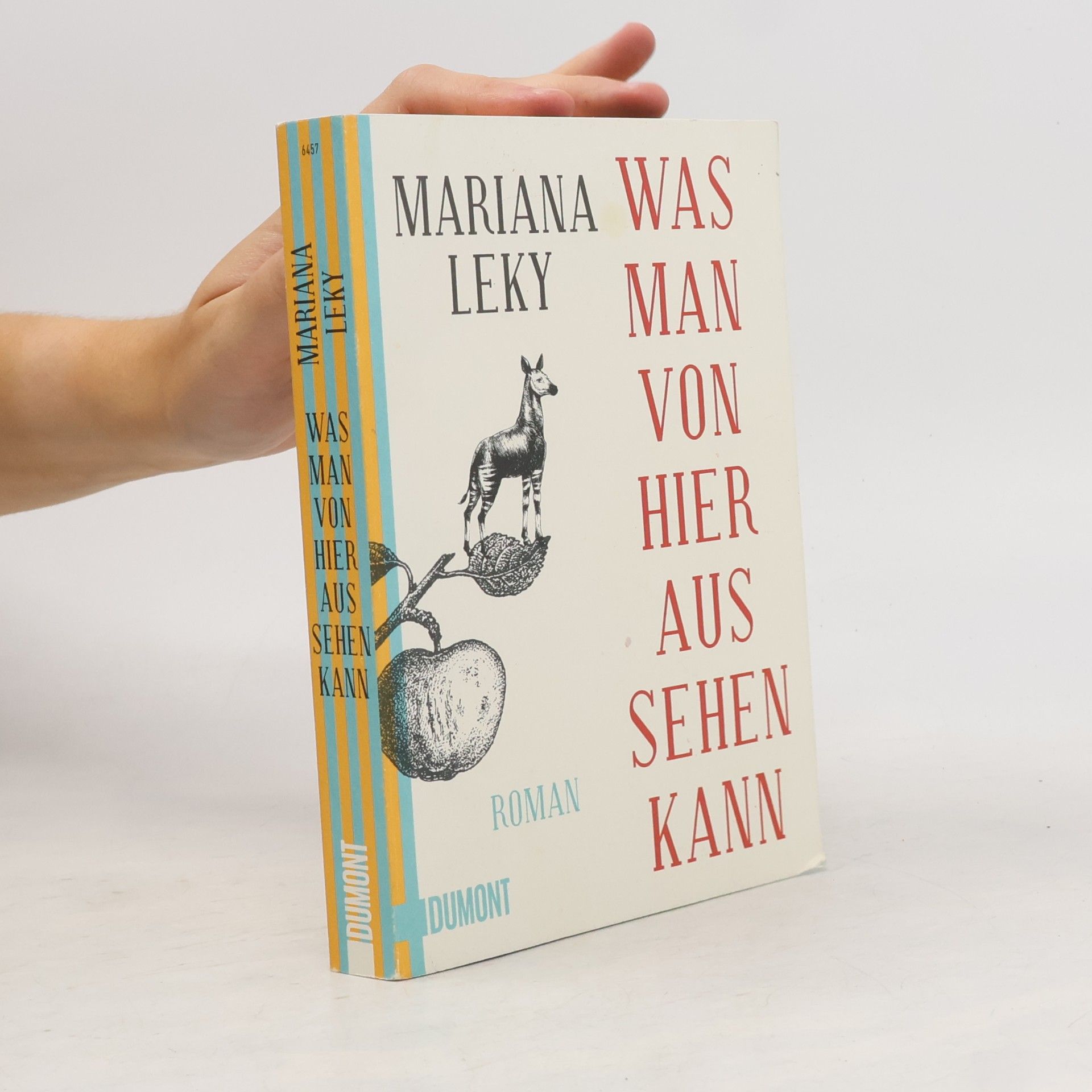 Mariana Leky Was man von hier aus sehen kann