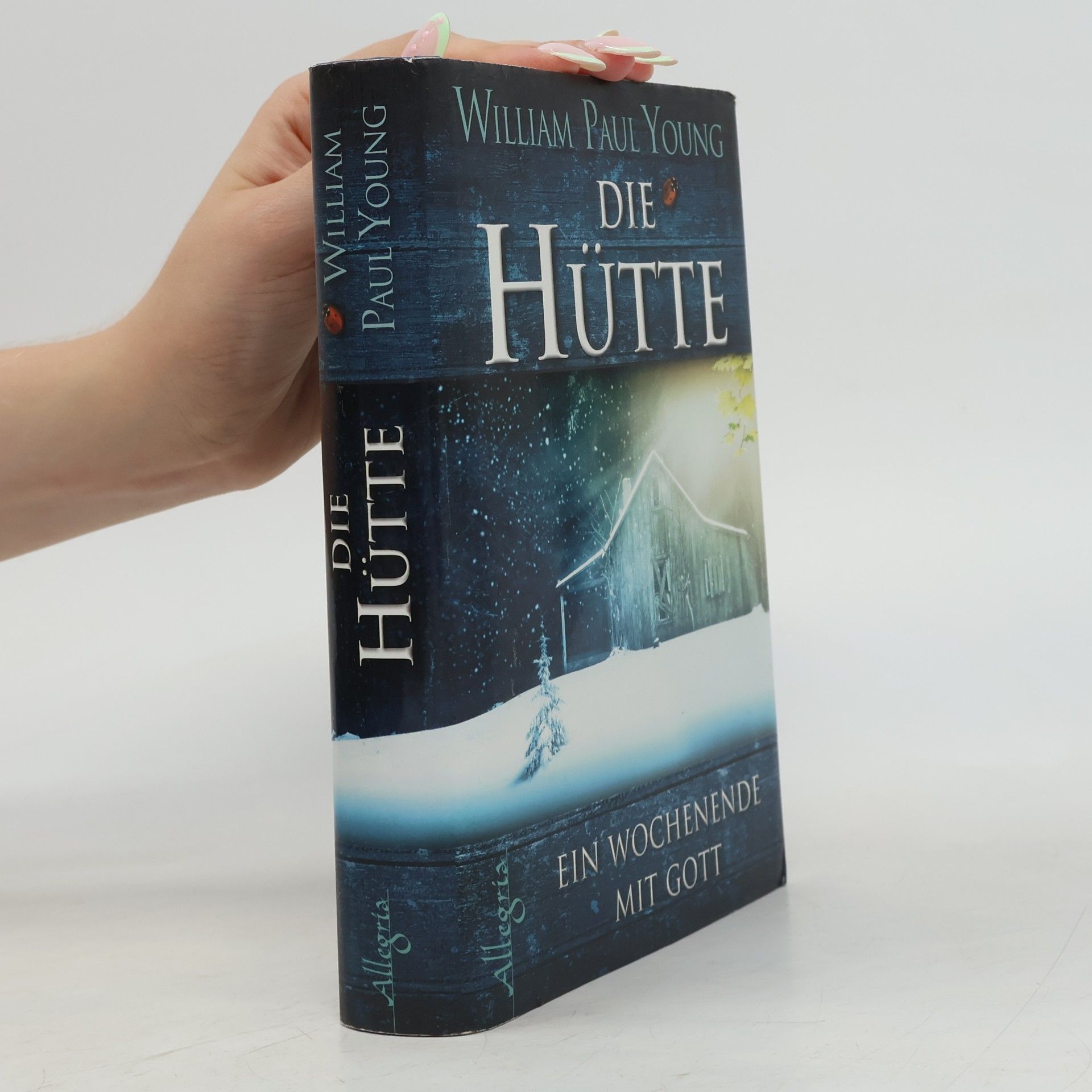 William Paul Young Die Hütte
