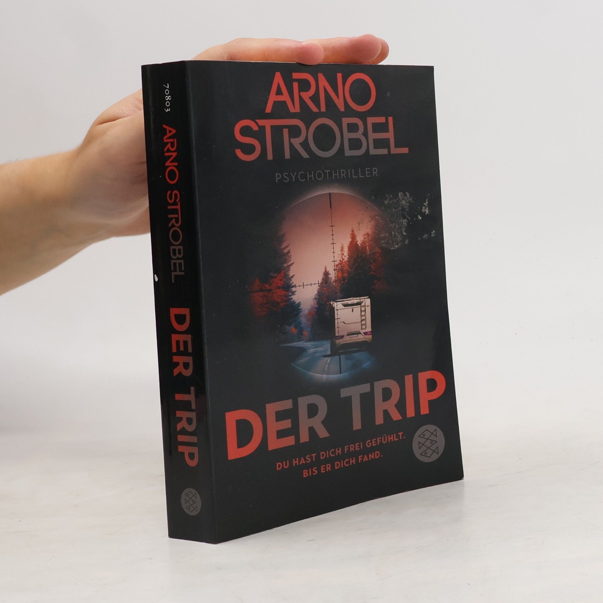 Arno Strobel Der Trip