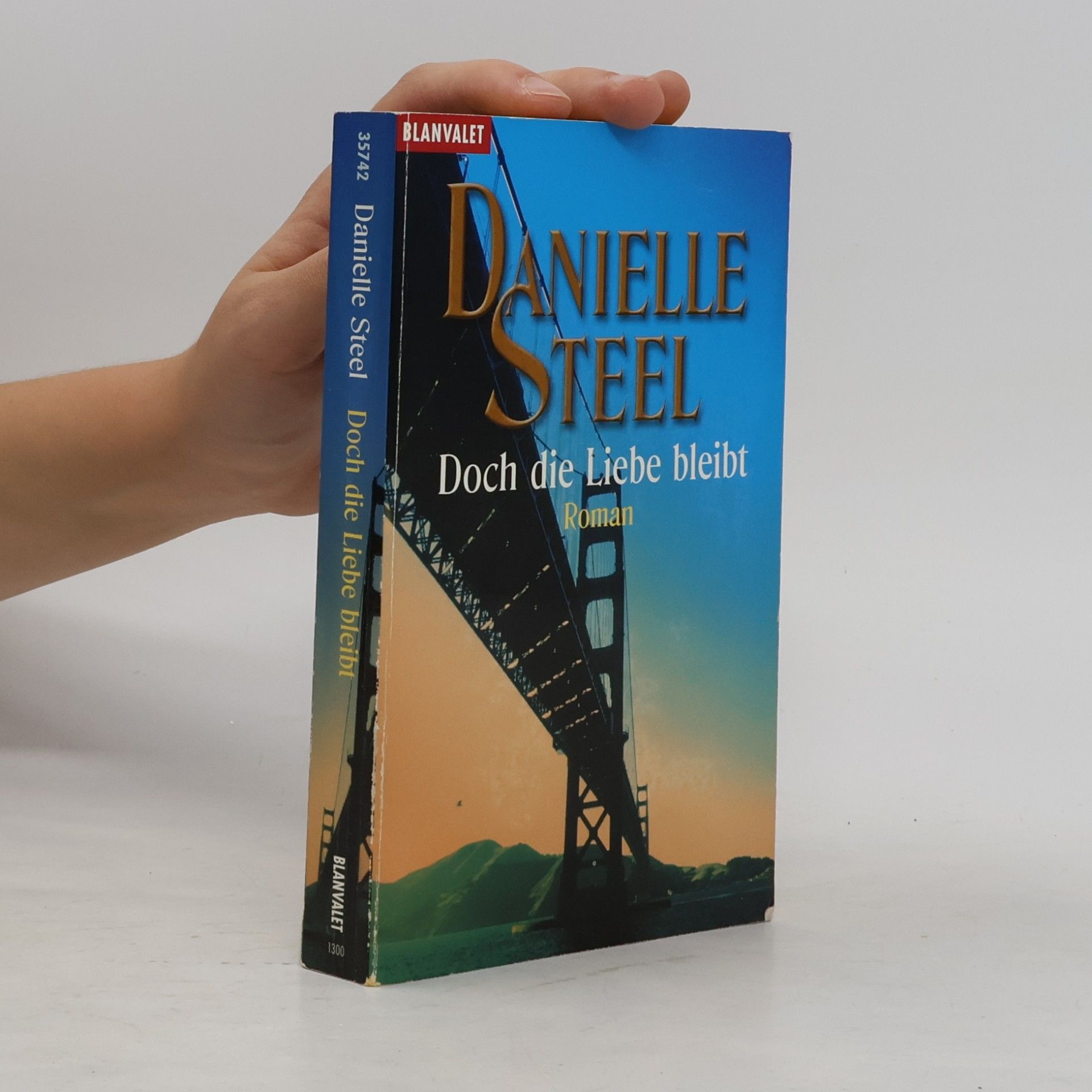 Danielle Steel Doch die Liebe bleibt