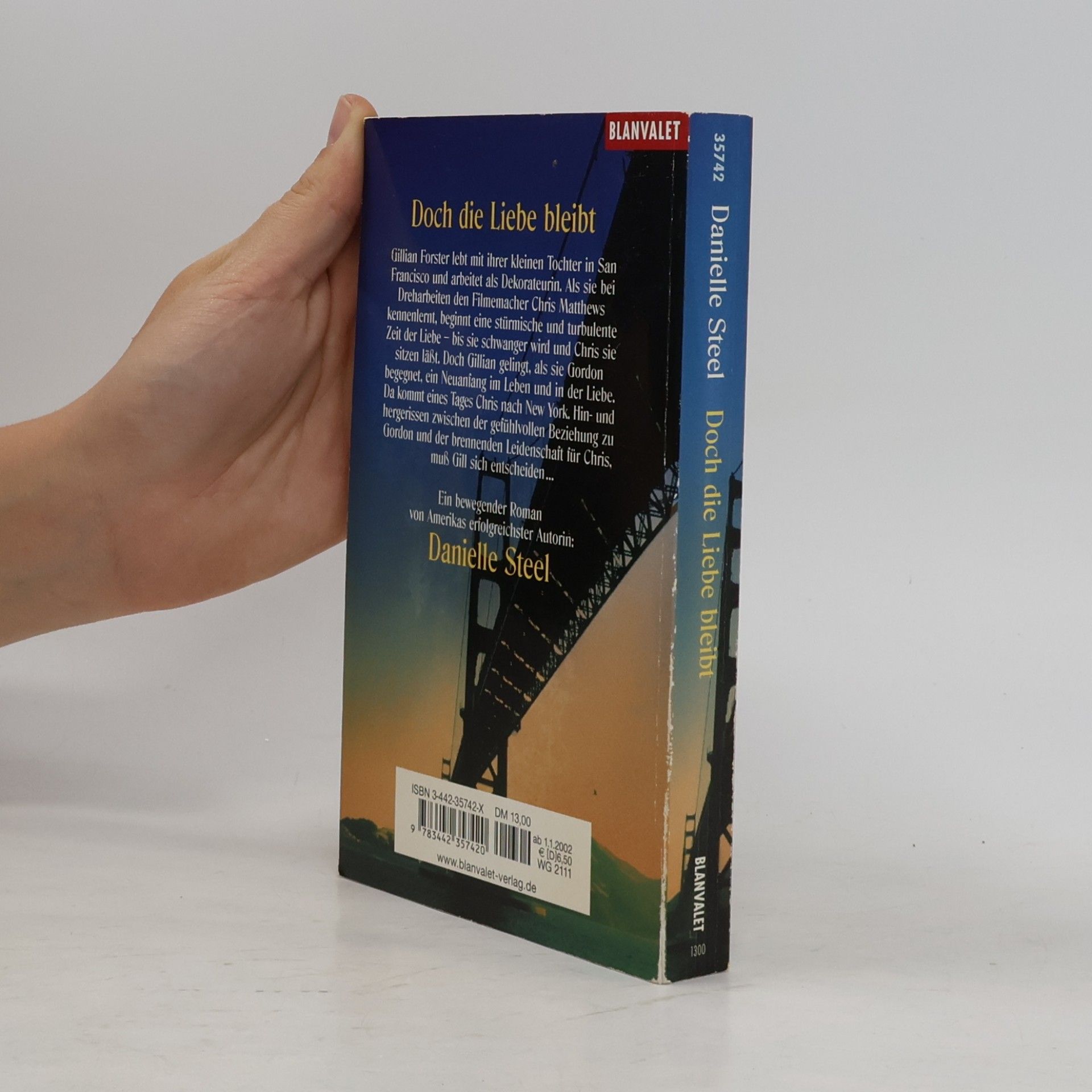 Danielle Steel Doch die Liebe bleibt