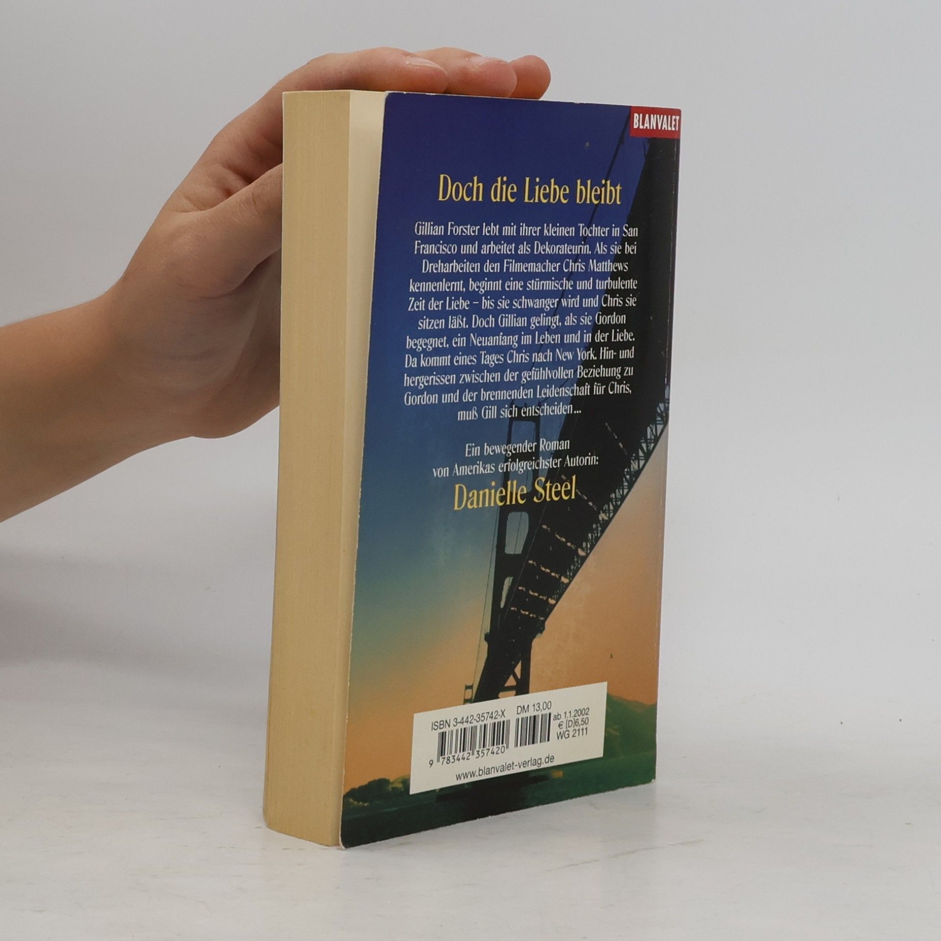 Danielle Steel Doch die Liebe bleibt