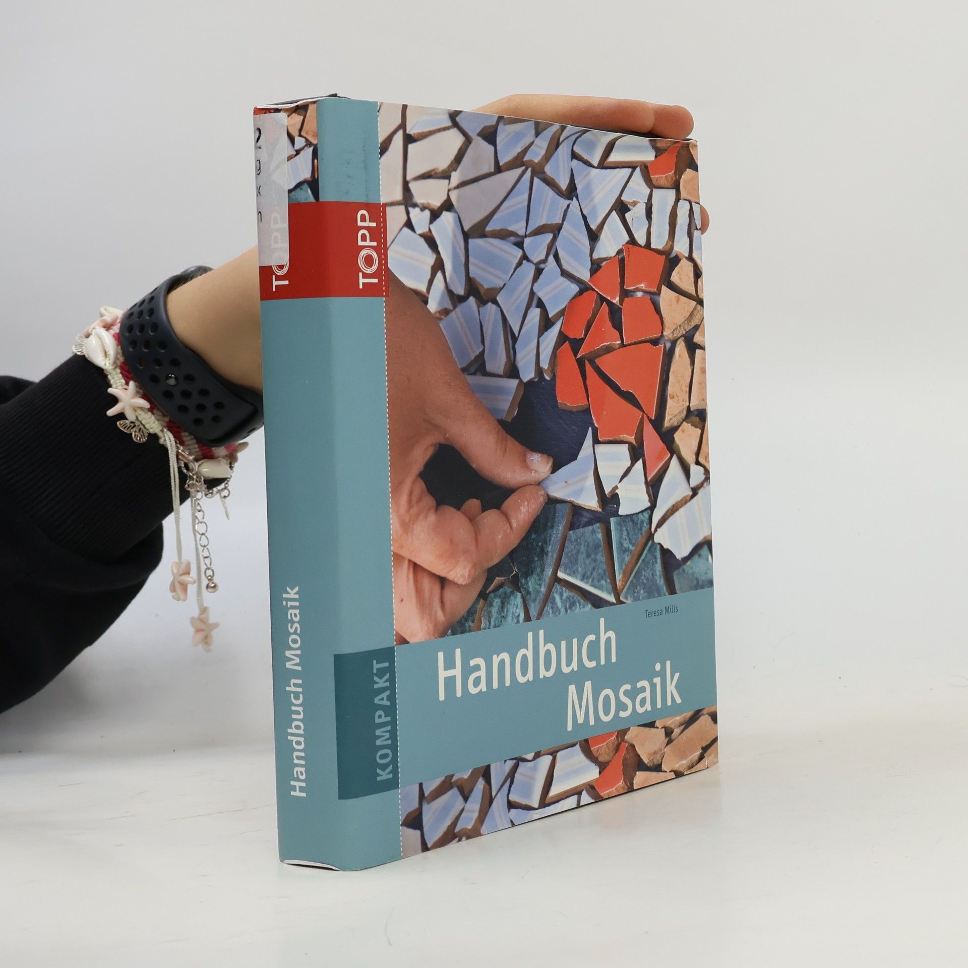 Teresa Mills TOPP Kompakt: Handbuch Mosaik