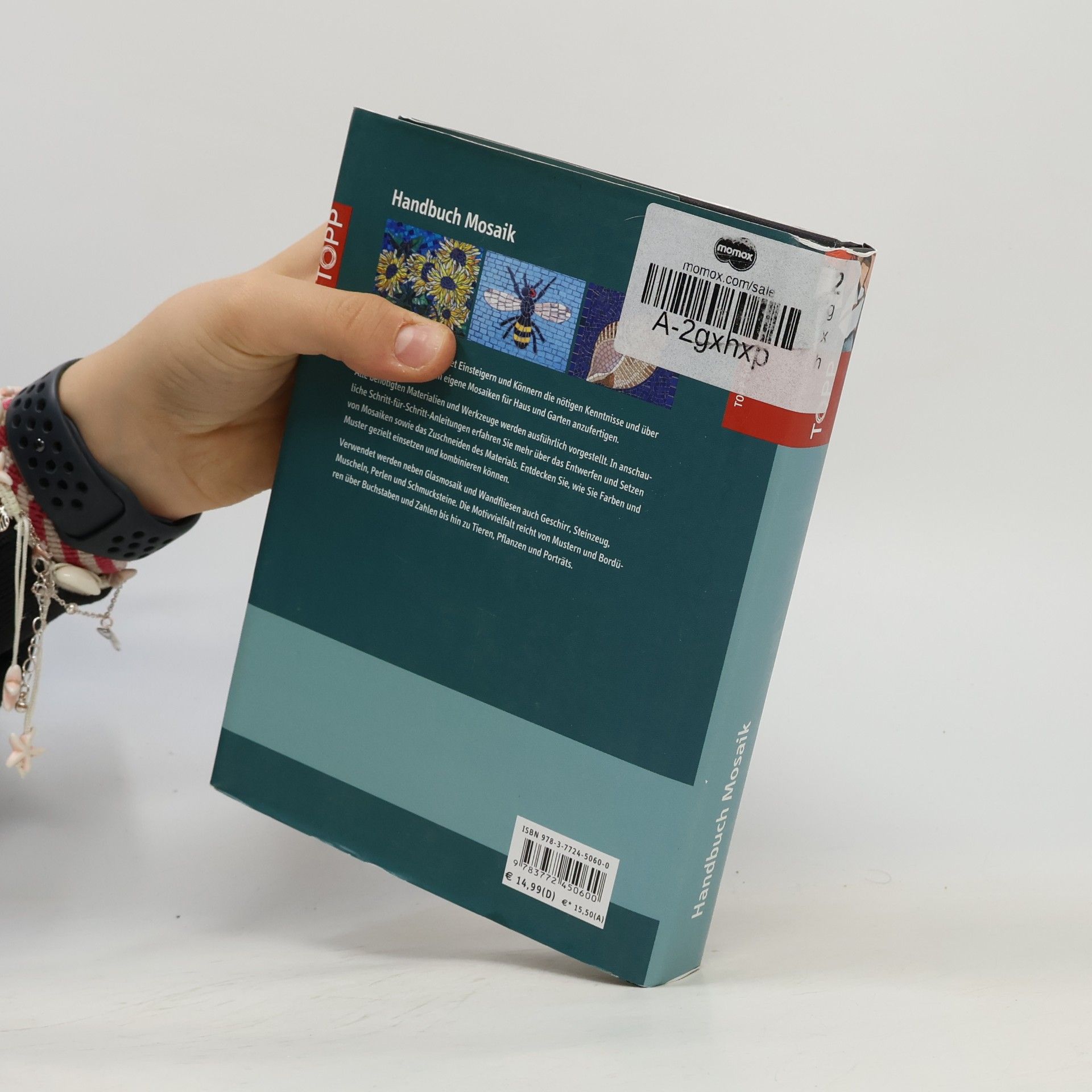 Teresa Mills TOPP Kompakt: Handbuch Mosaik