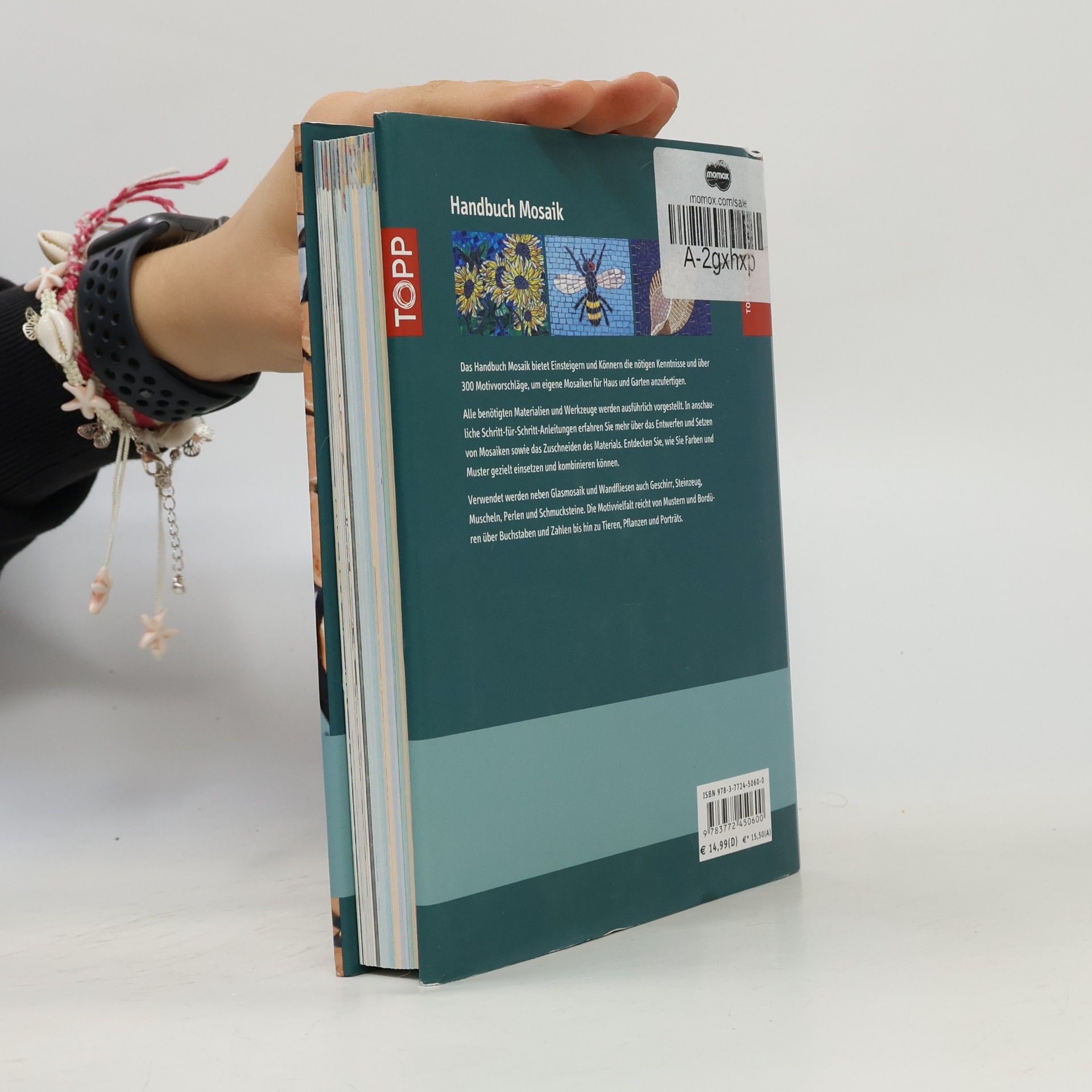 Teresa Mills TOPP Kompakt: Handbuch Mosaik