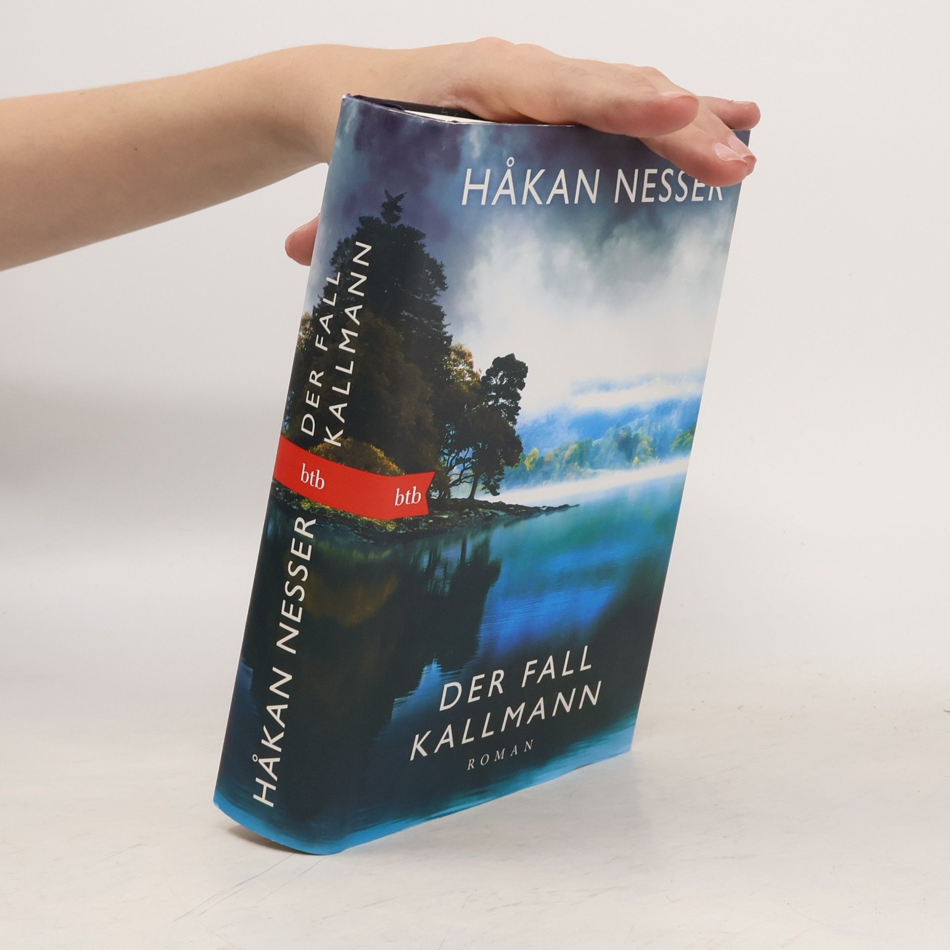 Håkan Nesser Der Fall Kallmann