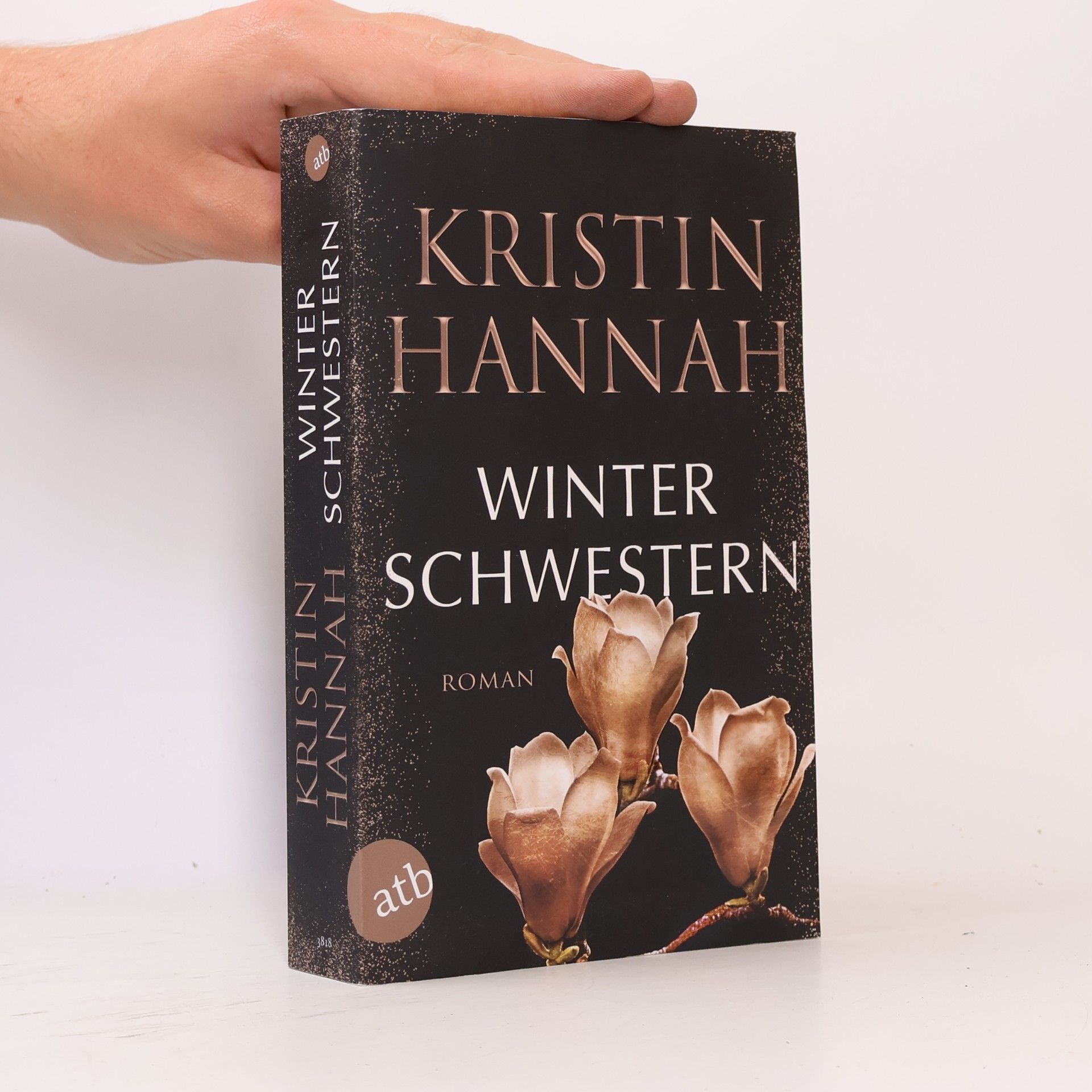 Kristin Hannah Winterschwestern
