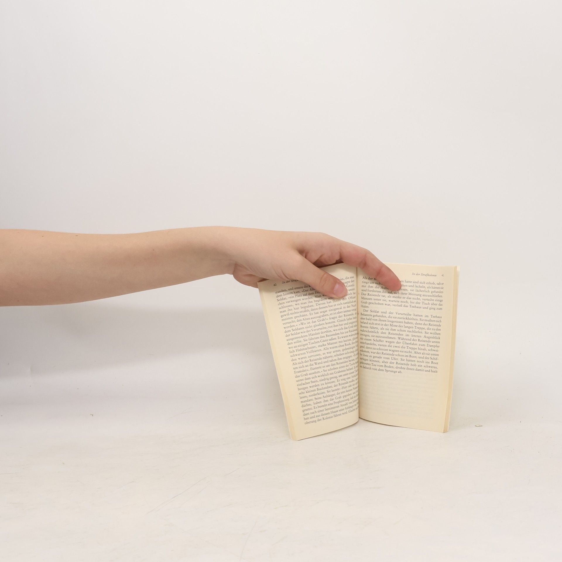 Franz Kafka In der Strafkolonie und andere Prosa