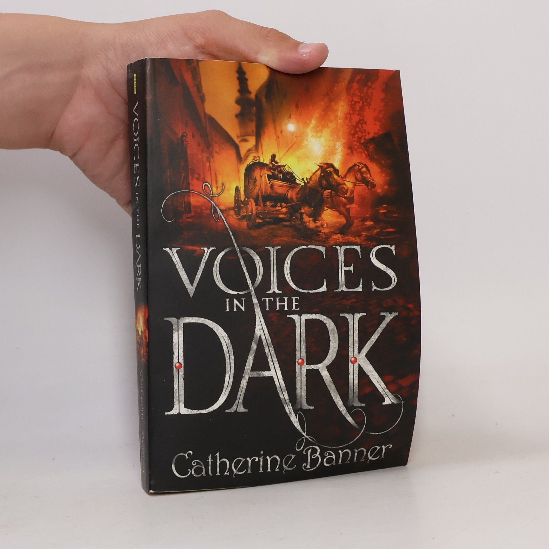 Catherine Banner Voices in the Dark