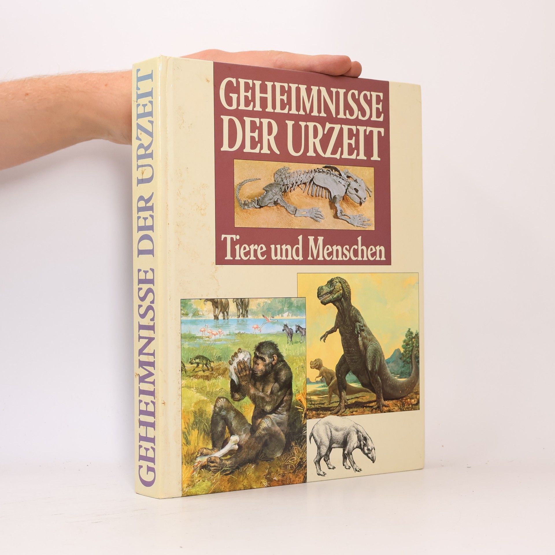 Mario Andreose Die Geheimnisse der Urzeit. Tiere und Menschen