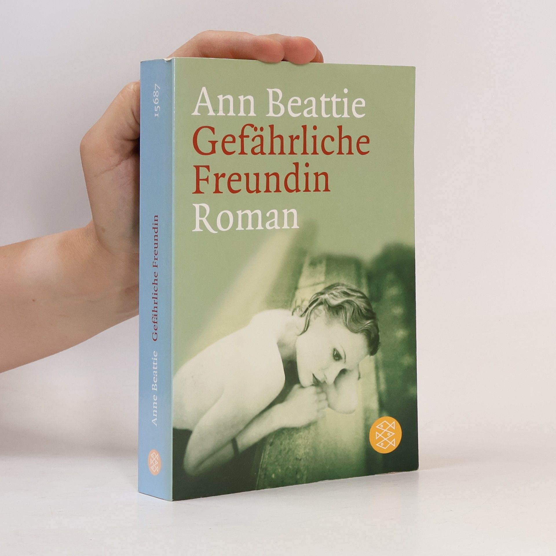 Ann Beattie Gefährliche Freundin