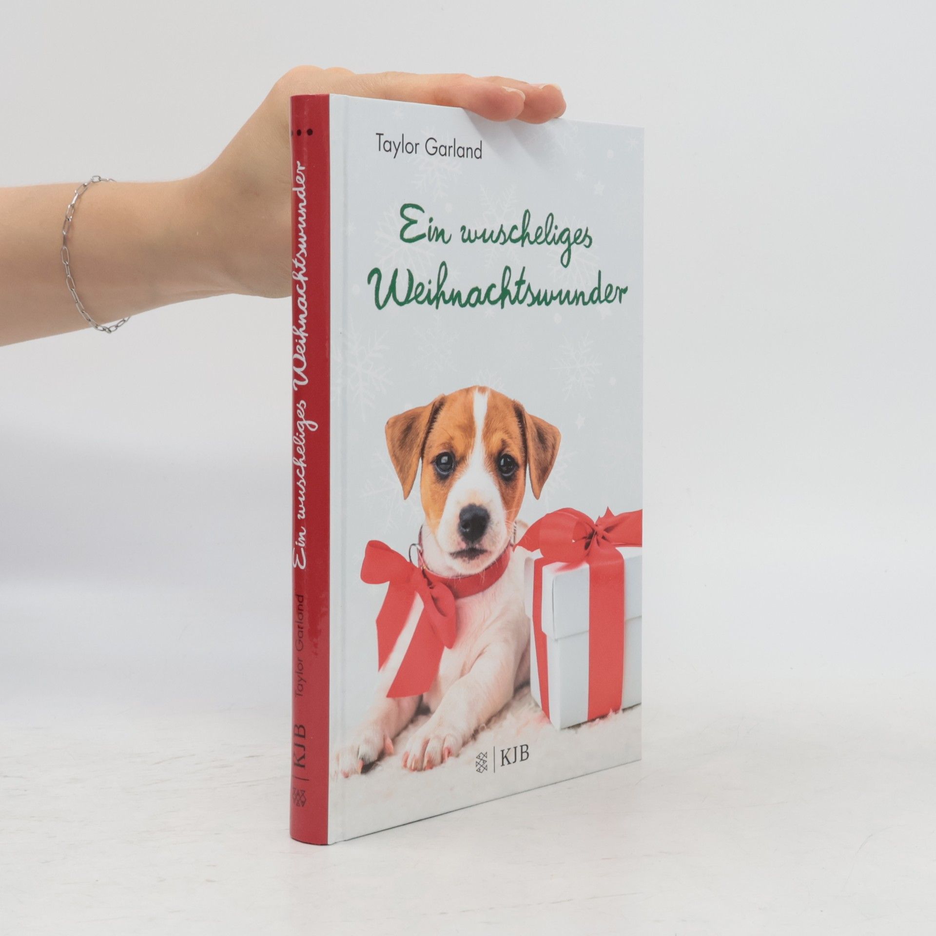Taylor Garland Ein wuscheliges Weihnachtswunder