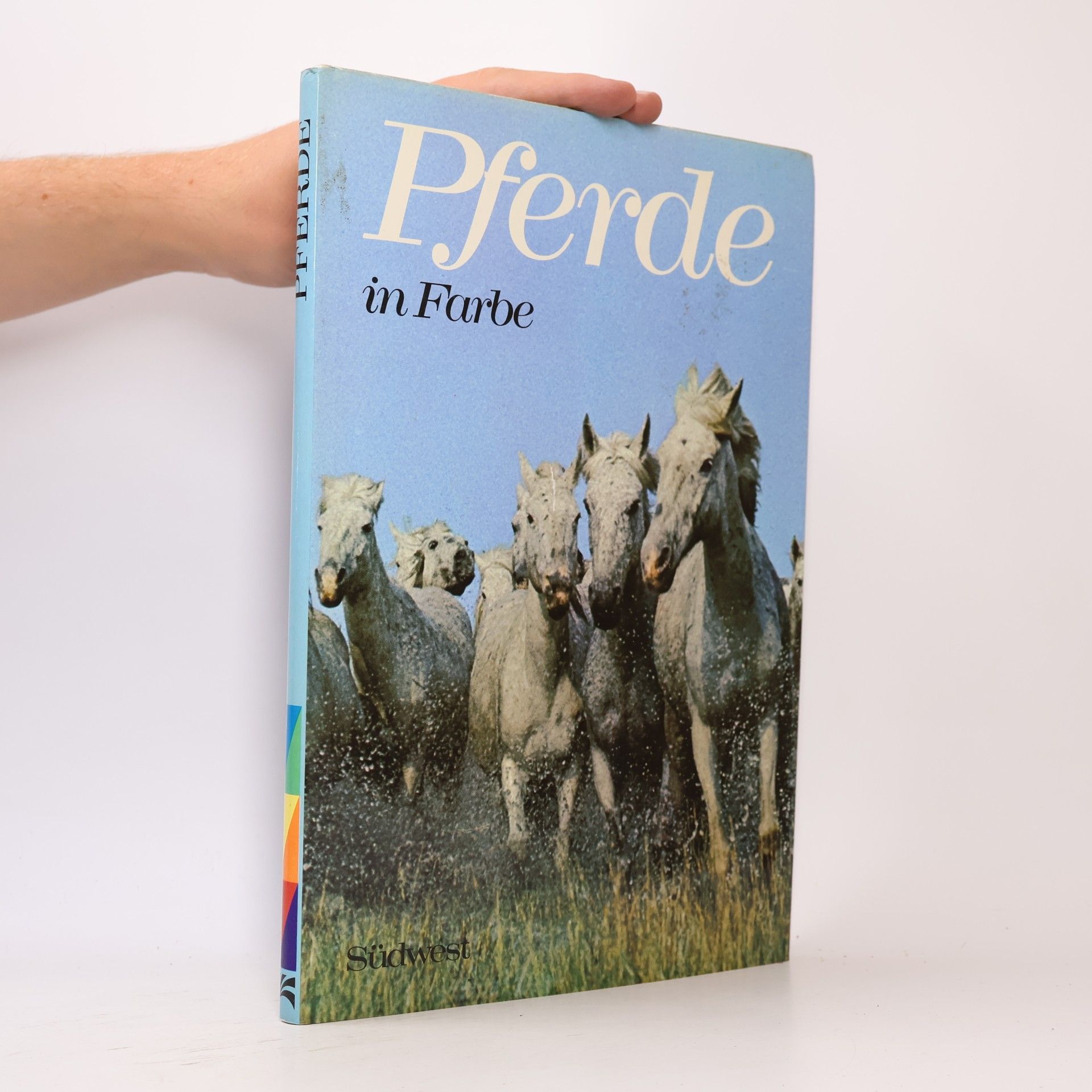 Anne Alcock Pferde in Farbe