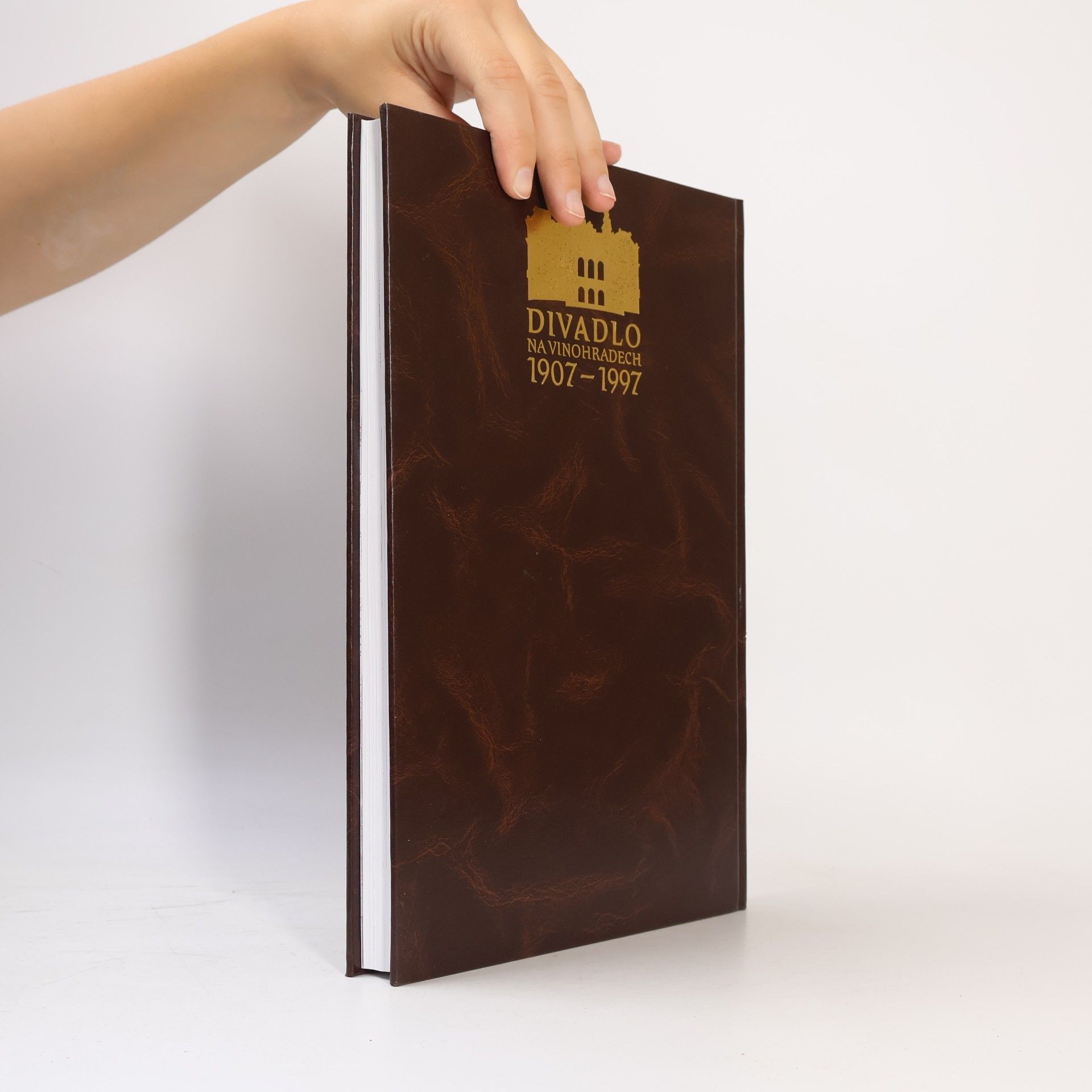 Collectif d'auteurs Divadlo na Vinohradech 1907 - 1997