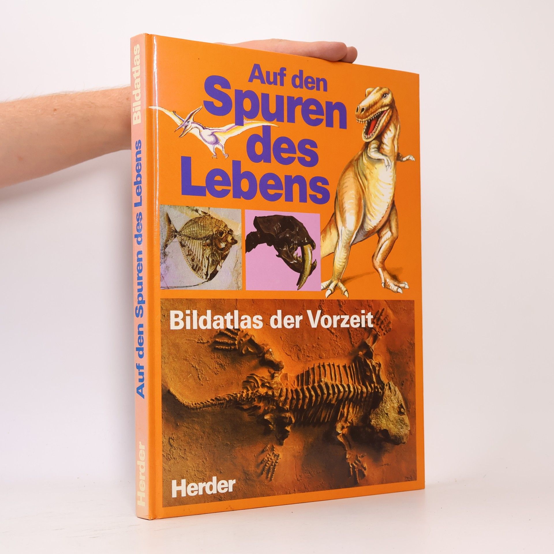 Paolo Arduini Auf den Spuren des Lebens