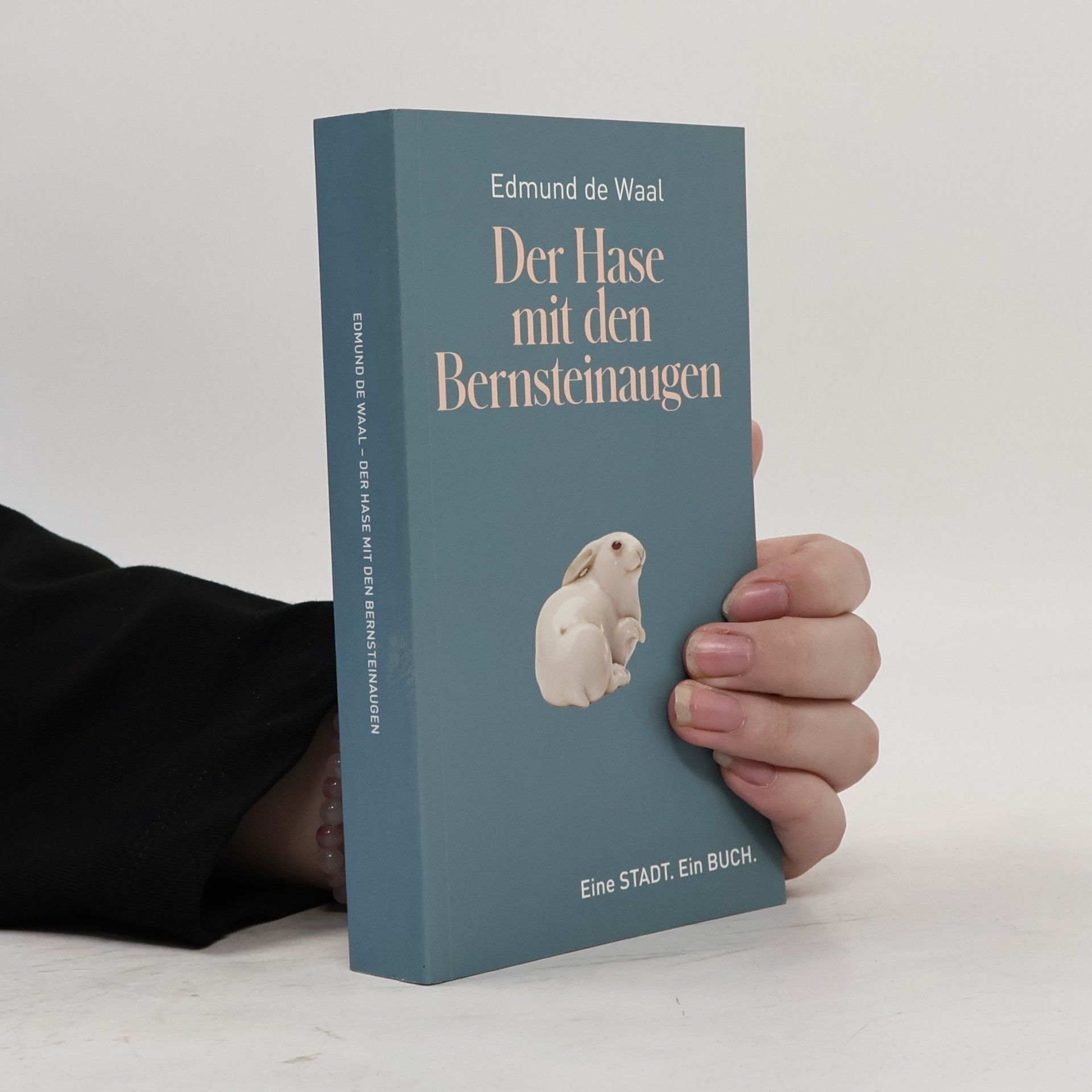 Edmund De Waal Der Hase mit den Bernsteinaugen