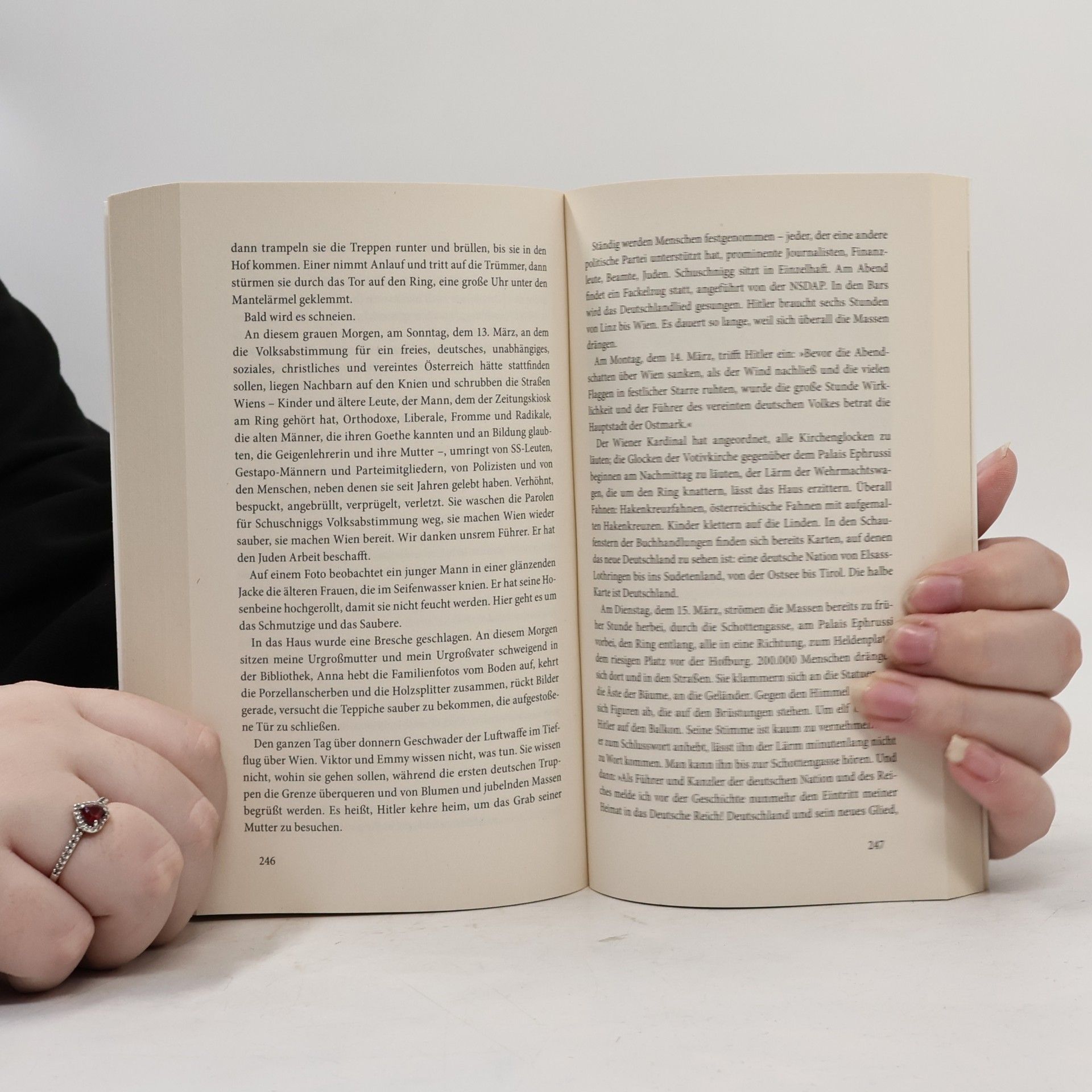 Edmund de Waal Der Hase mit den Bernsteinaugen
