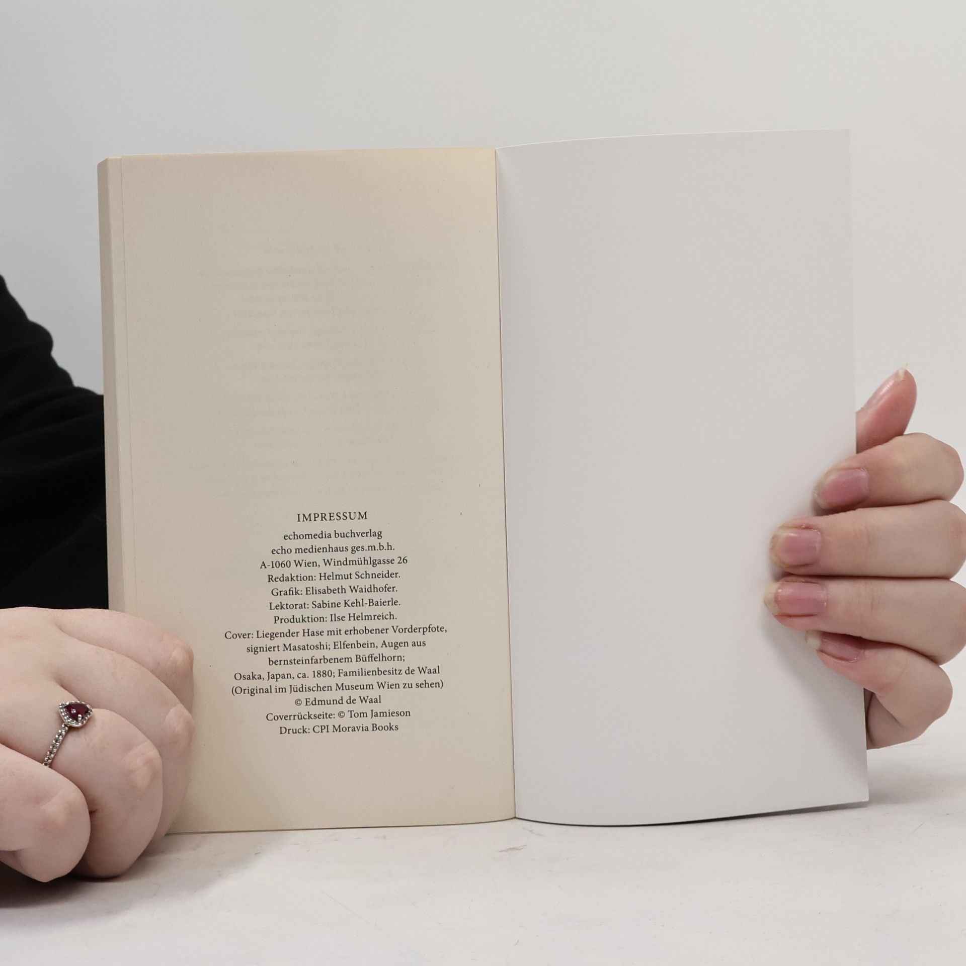 Edmund de Waal Der Hase mit den Bernsteinaugen