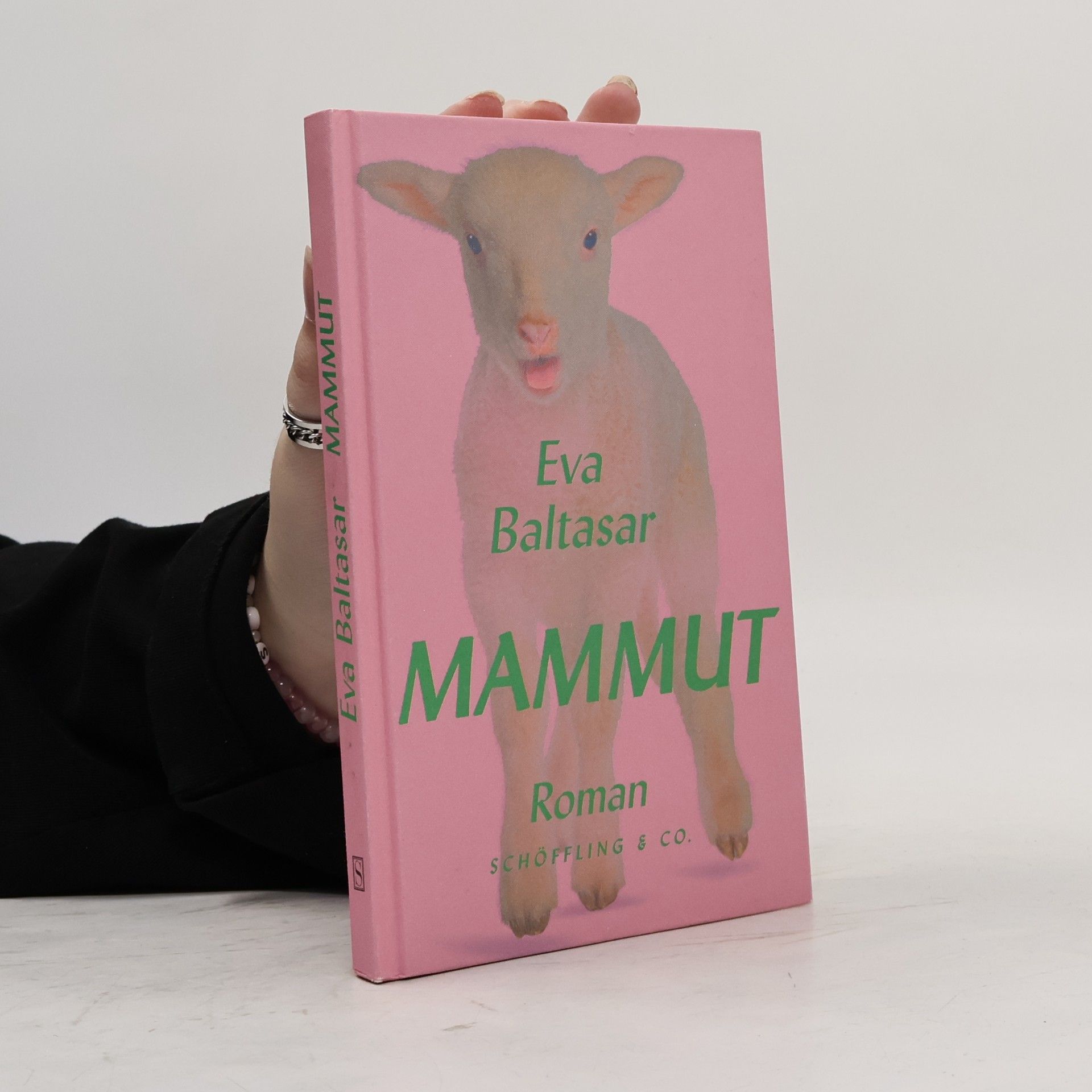 Eva Baltasar Mammut: Roman