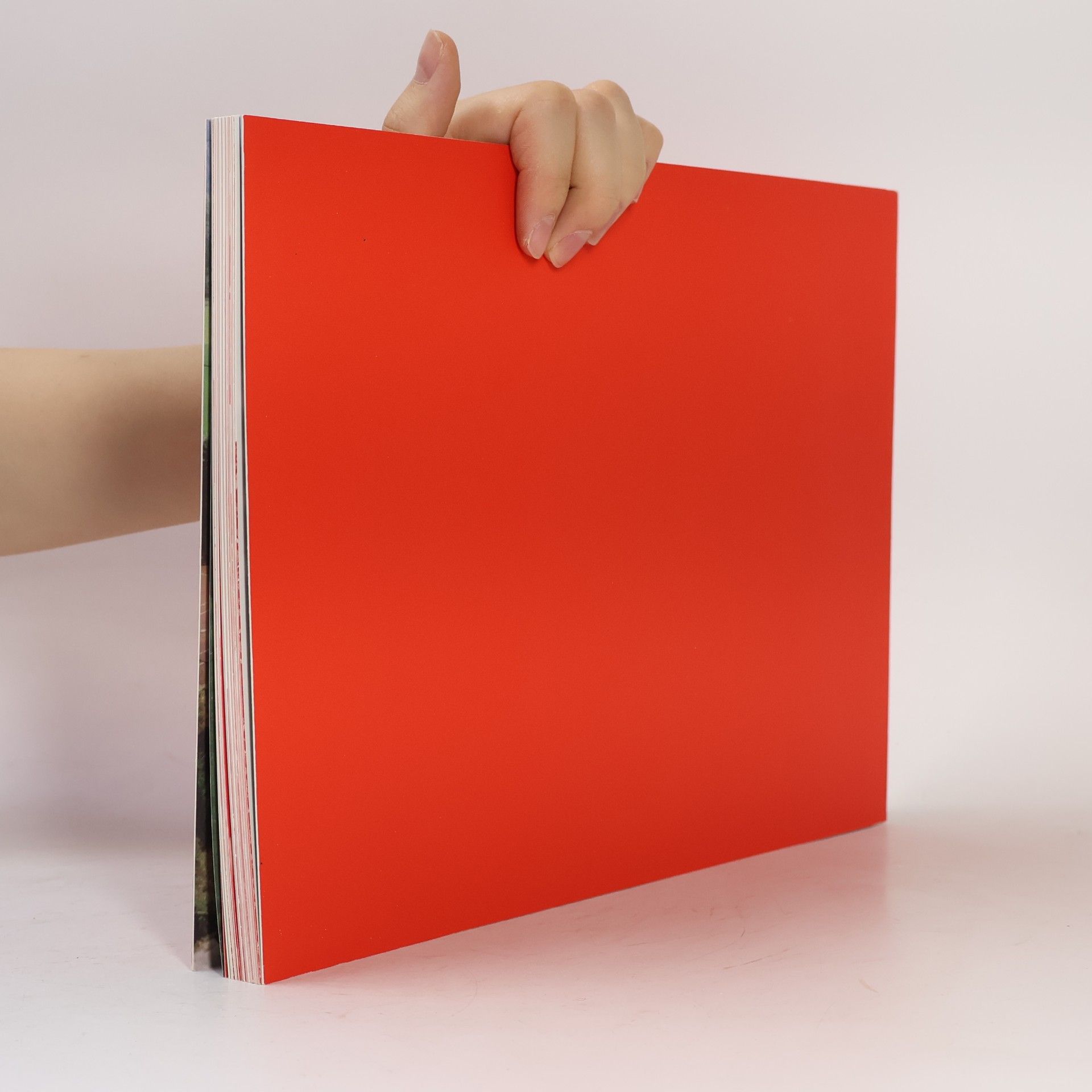 Mario Terzic Landschaftsdesign