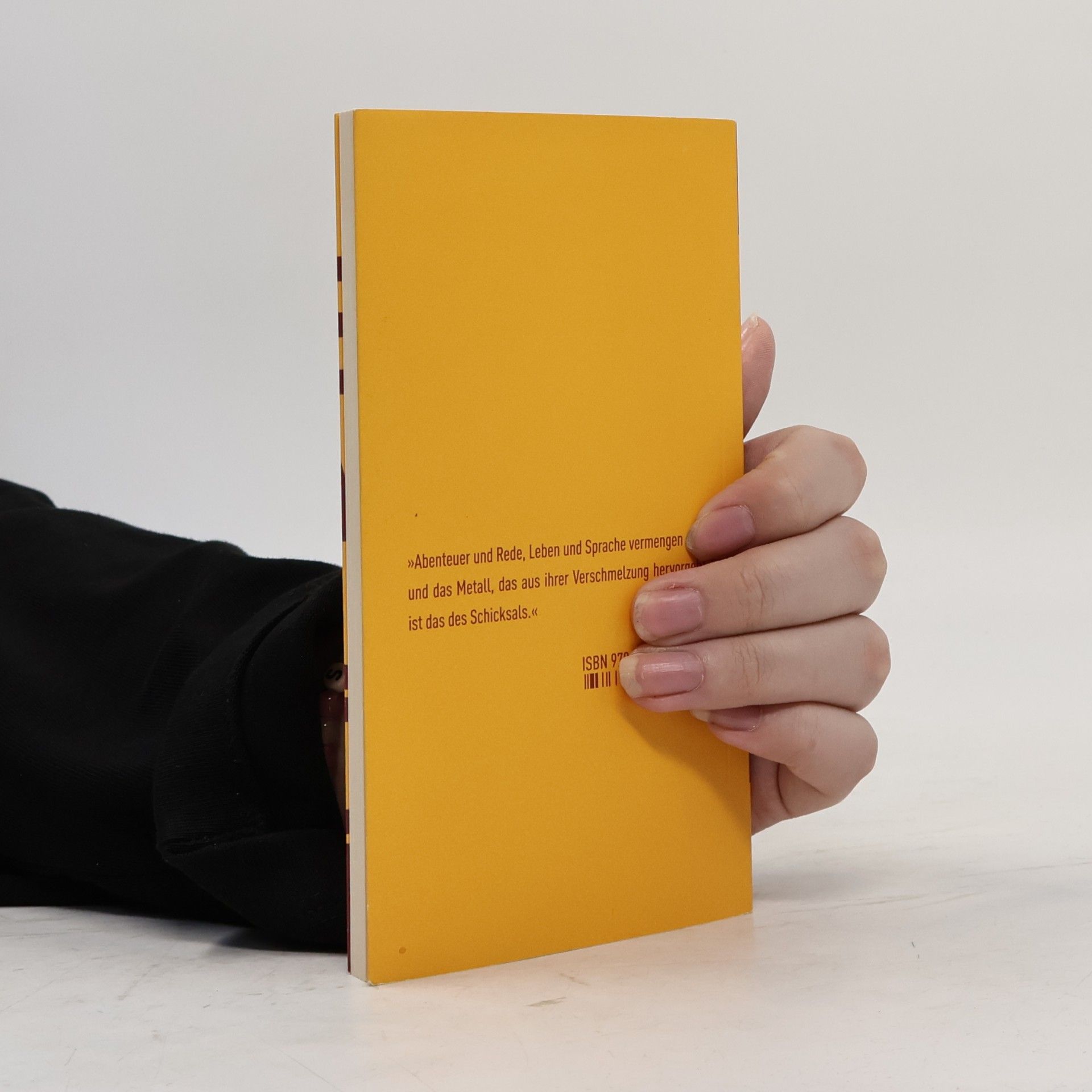 Giorgio Agamben Das Abenteuer, der Freund