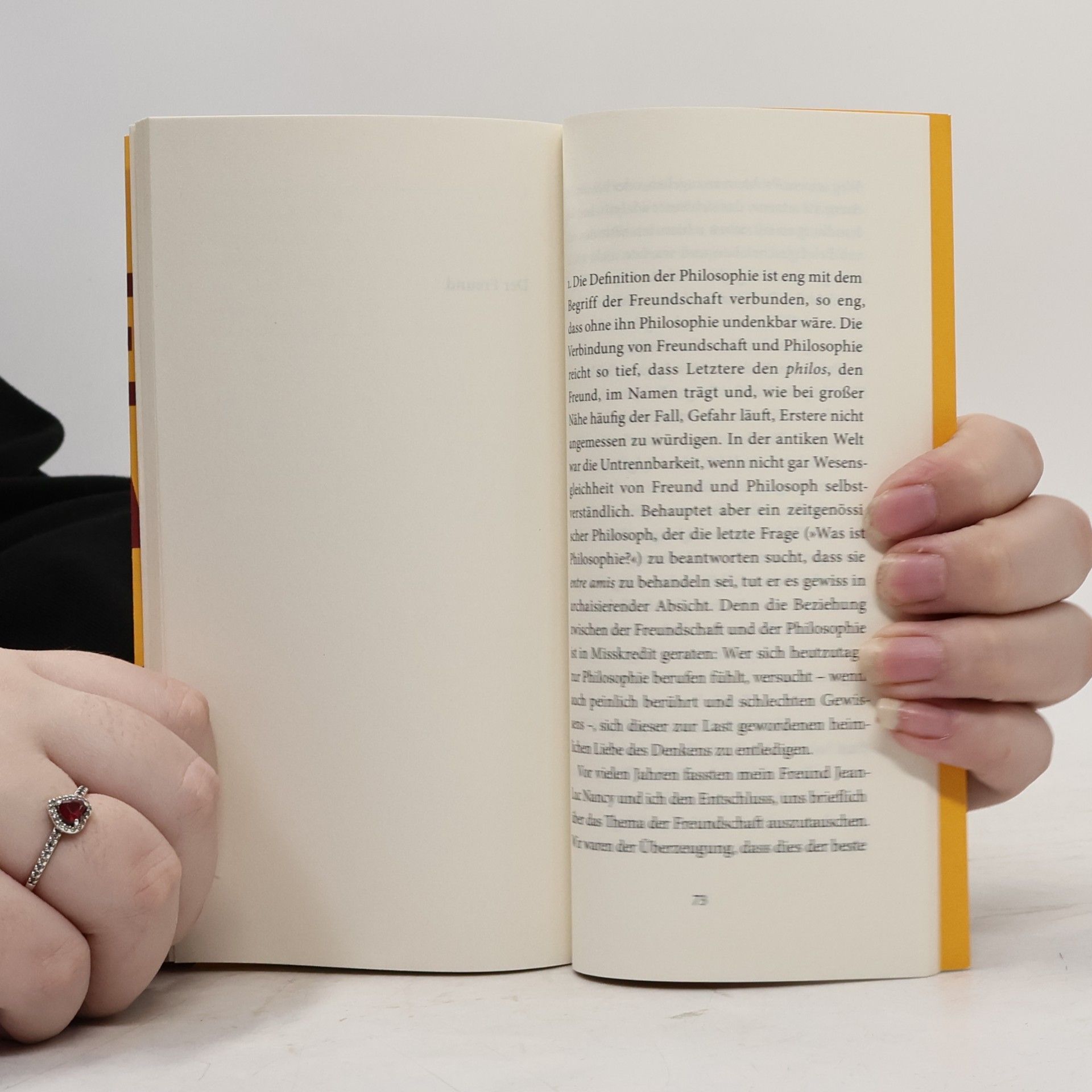 Giorgio Agamben Das Abenteuer, der Freund