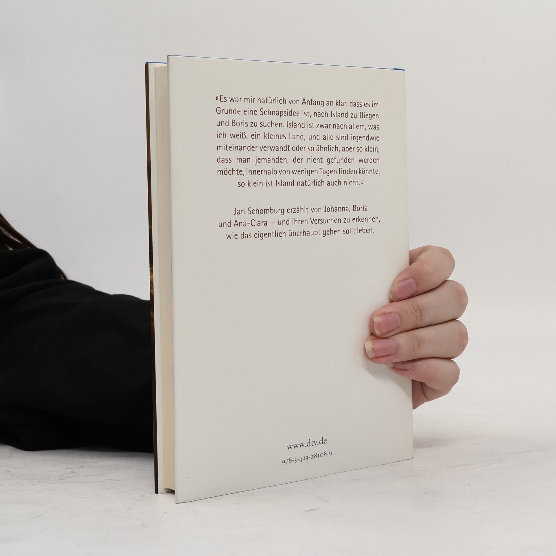 Jan Schomburg Das Licht und die Geräusche