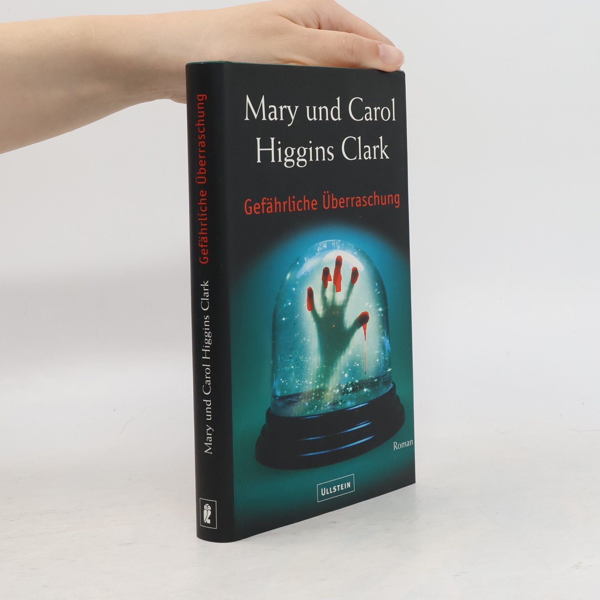 Mary Higgins Clark Gefährliche Überraschung