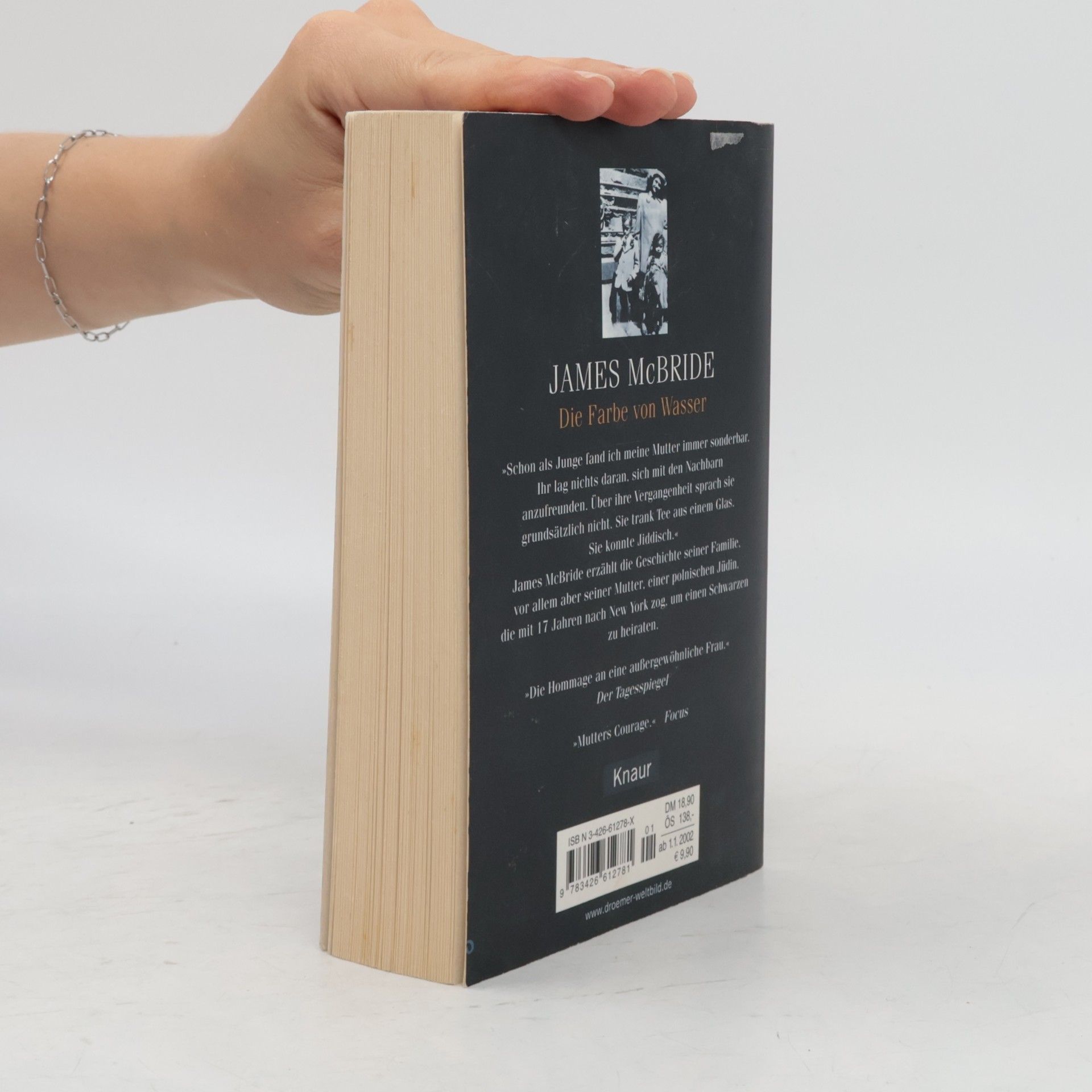 James McBride Die Farbe von Wasser