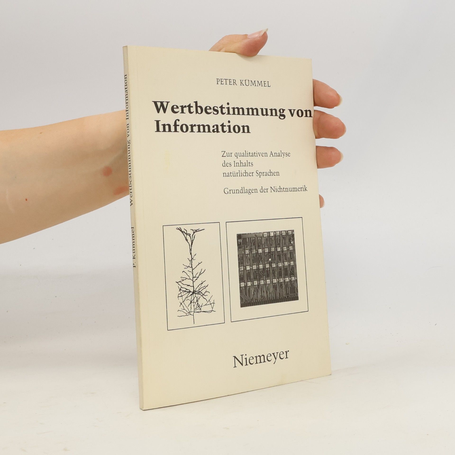 Peter Kümmel Wertbestimmung von Informationen
