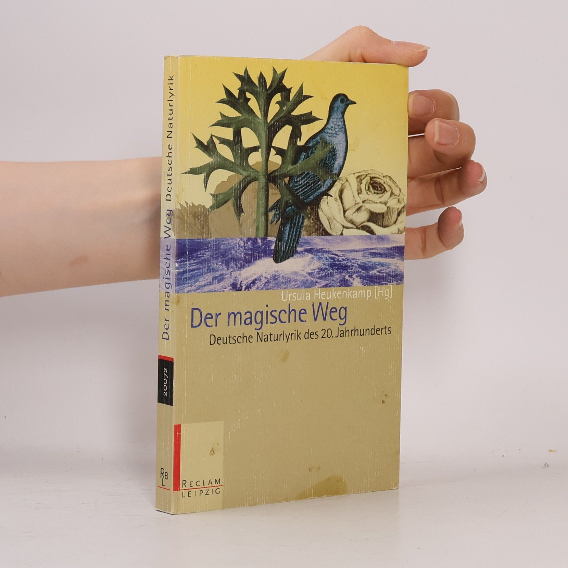 Ursula Heukenkamp Der magische Weg