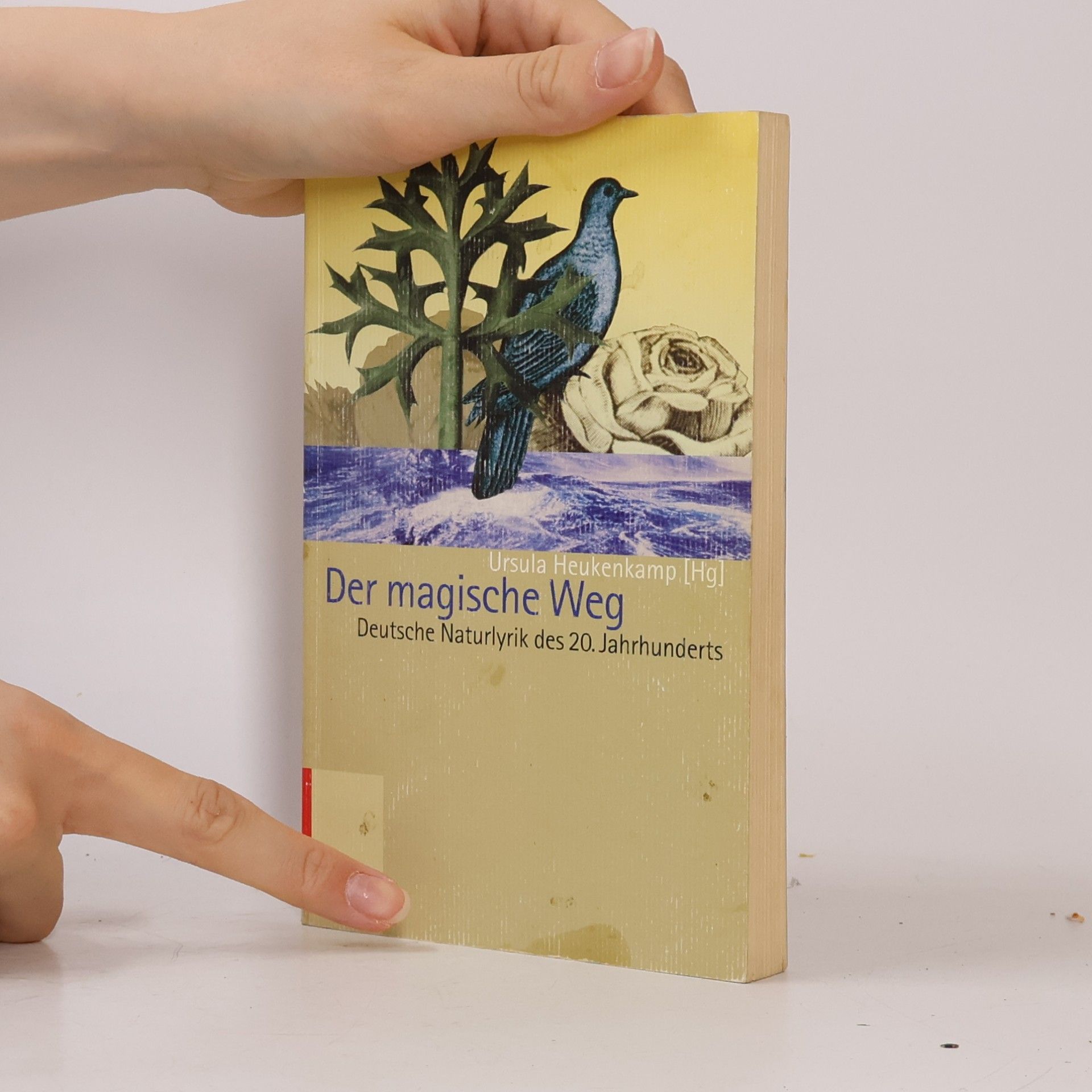 Ursula Heukenkamp Der magische Weg