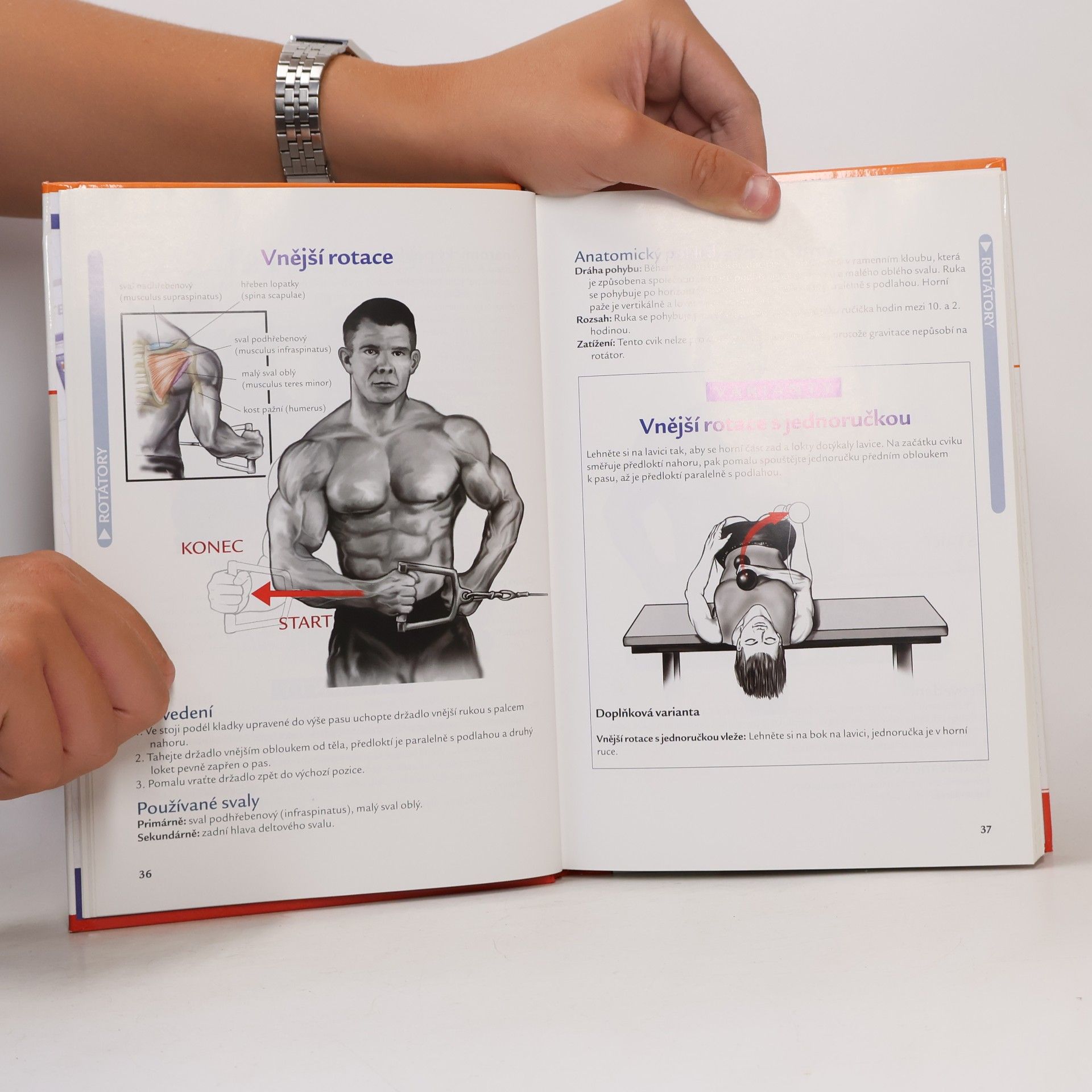 Nick Evans Bodybuilding a posilování : efektivní cvičení pro dokonalé tělo: Váš ilustrovaný průvodce, jak získat svalovou hmotu a zformovat tělo