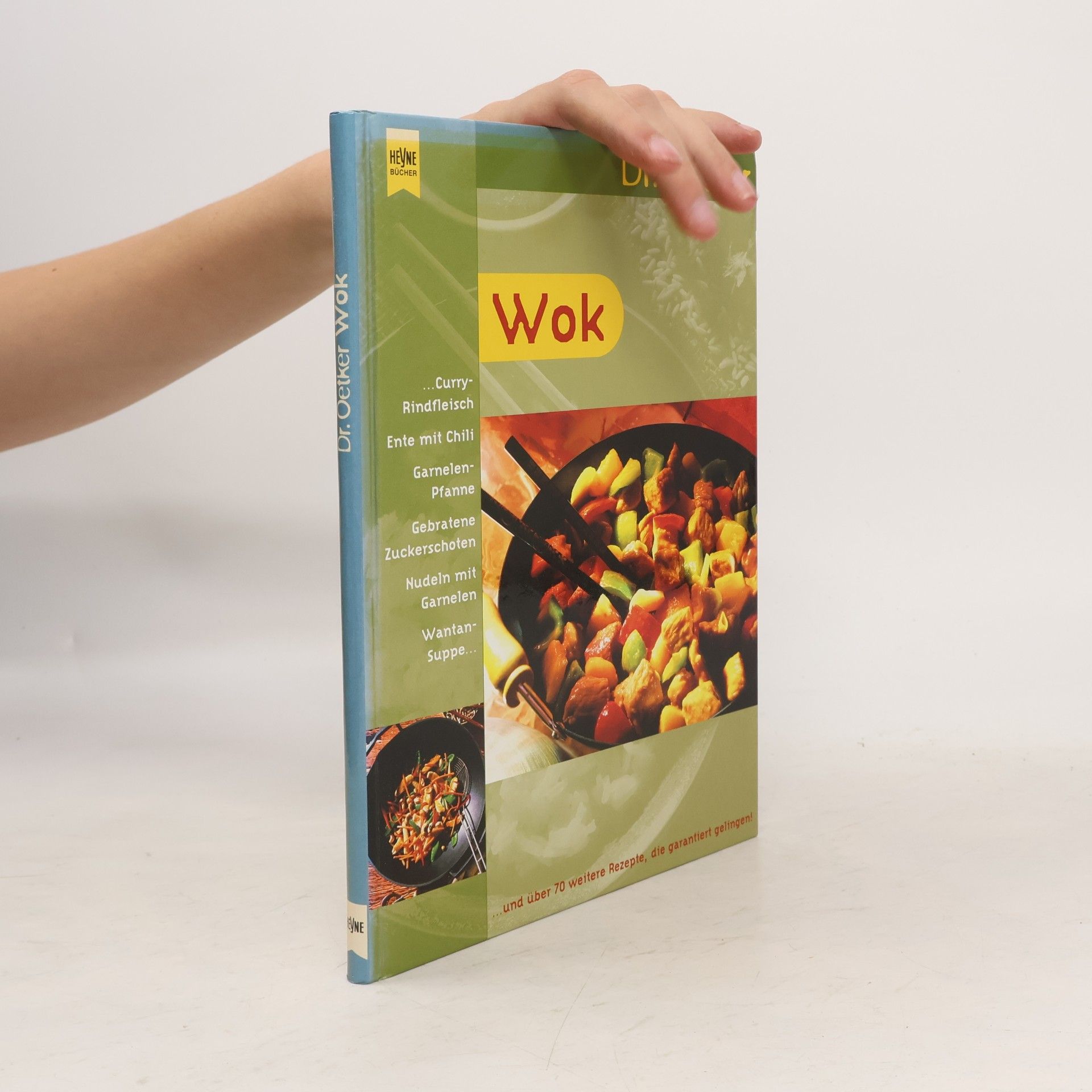 Jasmin Gromzik Dr. Oetker Wok