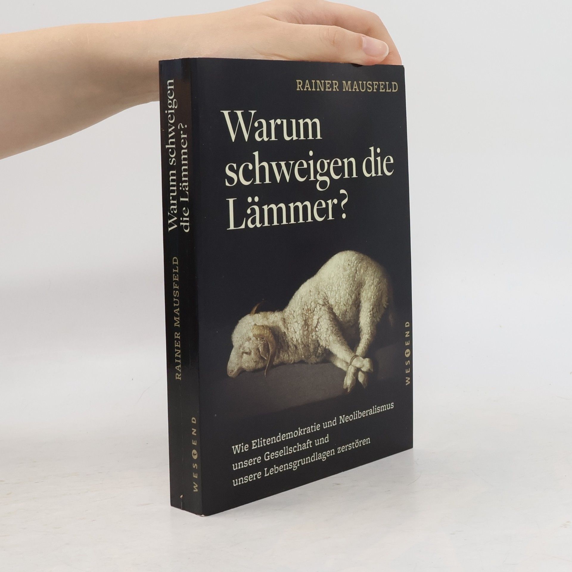 Rainer Mausfeld Warum schweigen die Lämmer?