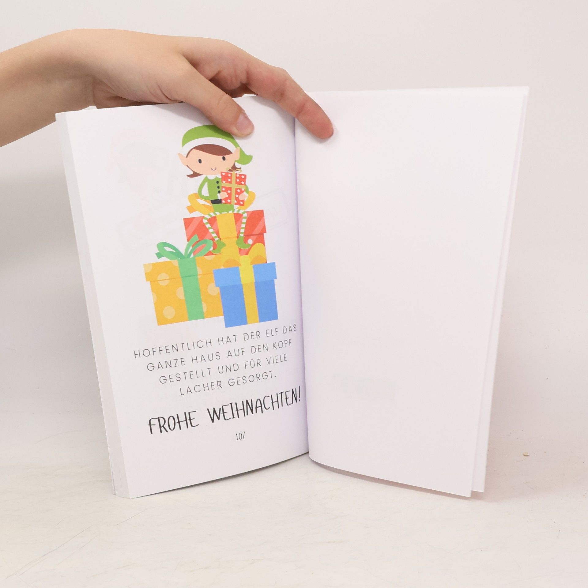 Lena Elpel 101 Streiche für den Weihnachtself