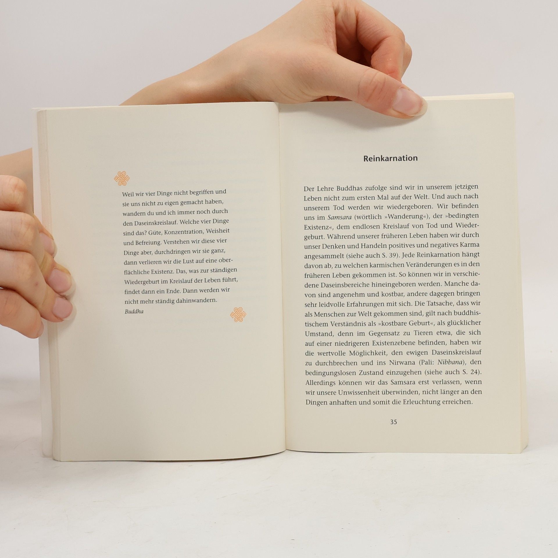 Bettina Lemke Der kleine Taschen buddhist