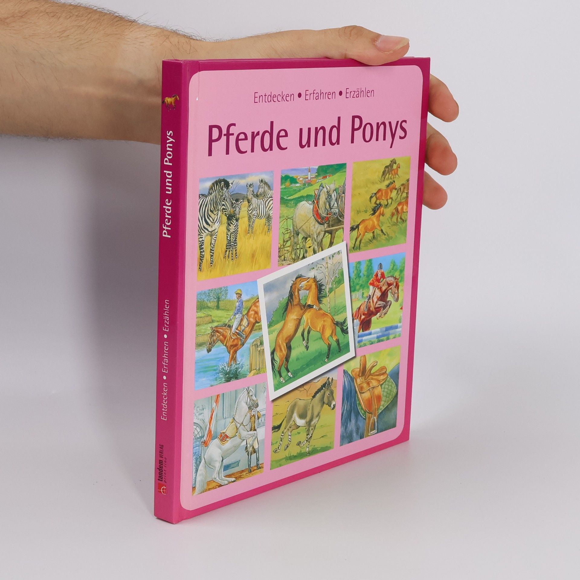 Various authors Pferde und Ponys