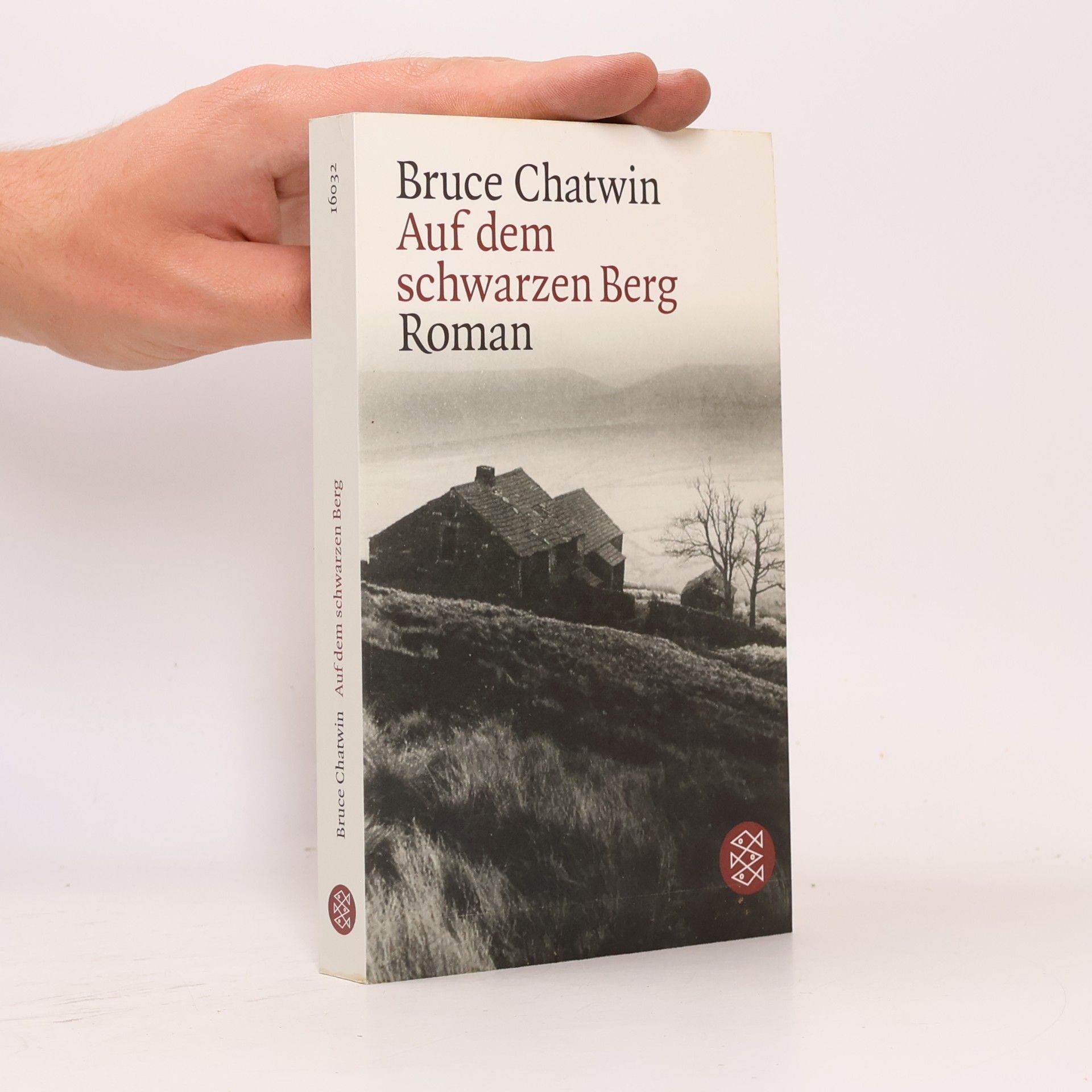 Bruce Chatwin Auf dem schwarzen Berg