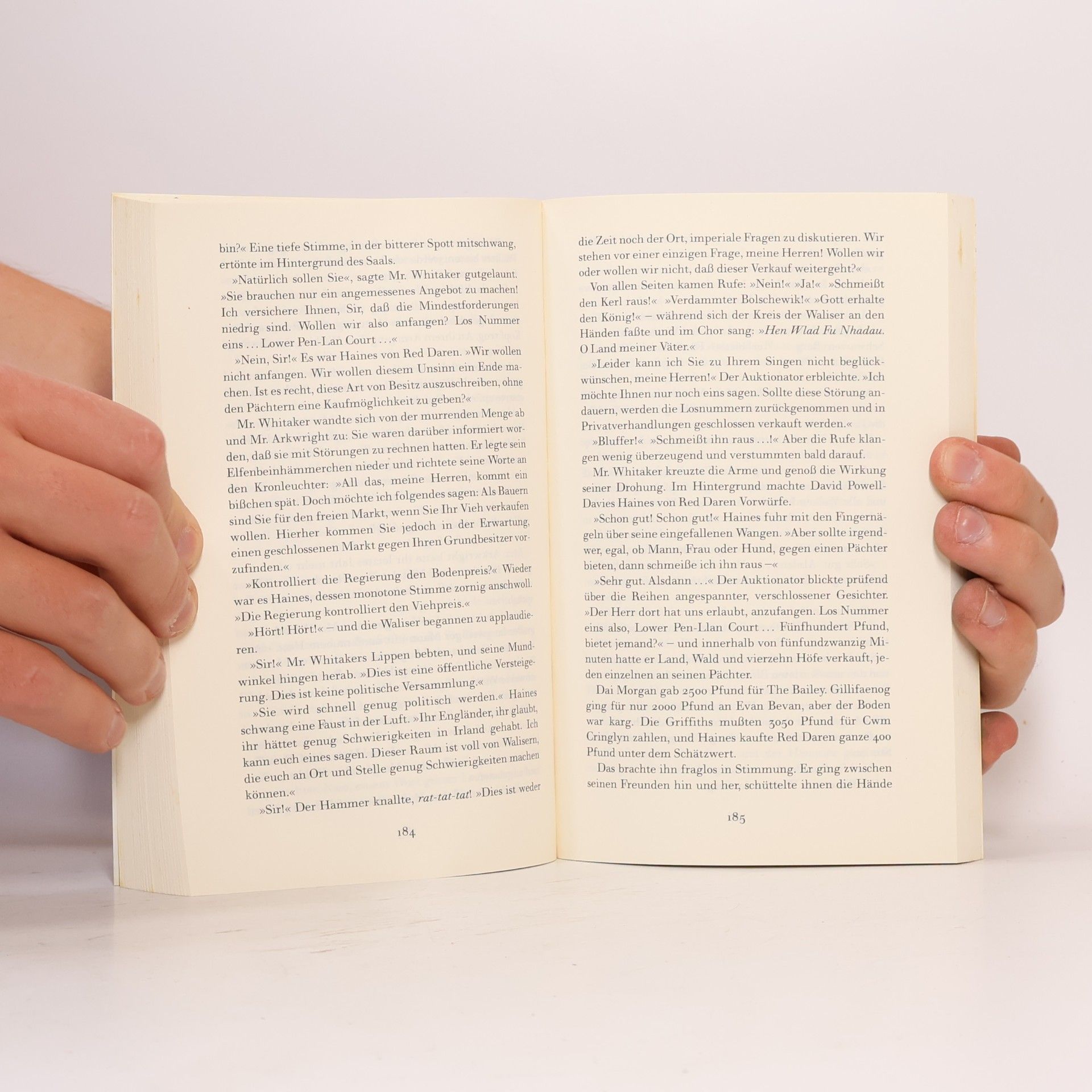 Bruce Chatwin Auf dem schwarzen Berg