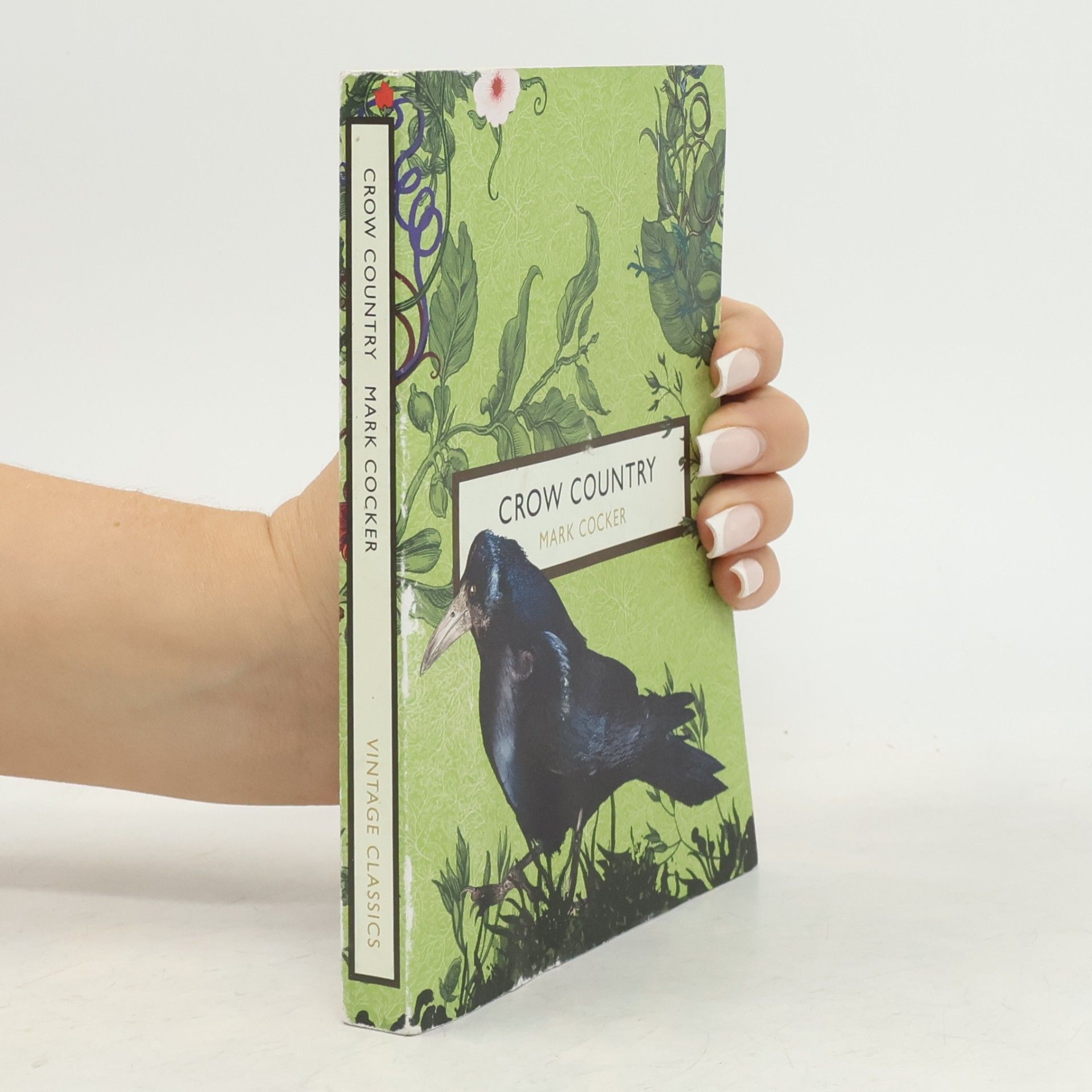 The Birds and the Bees: Crow Country