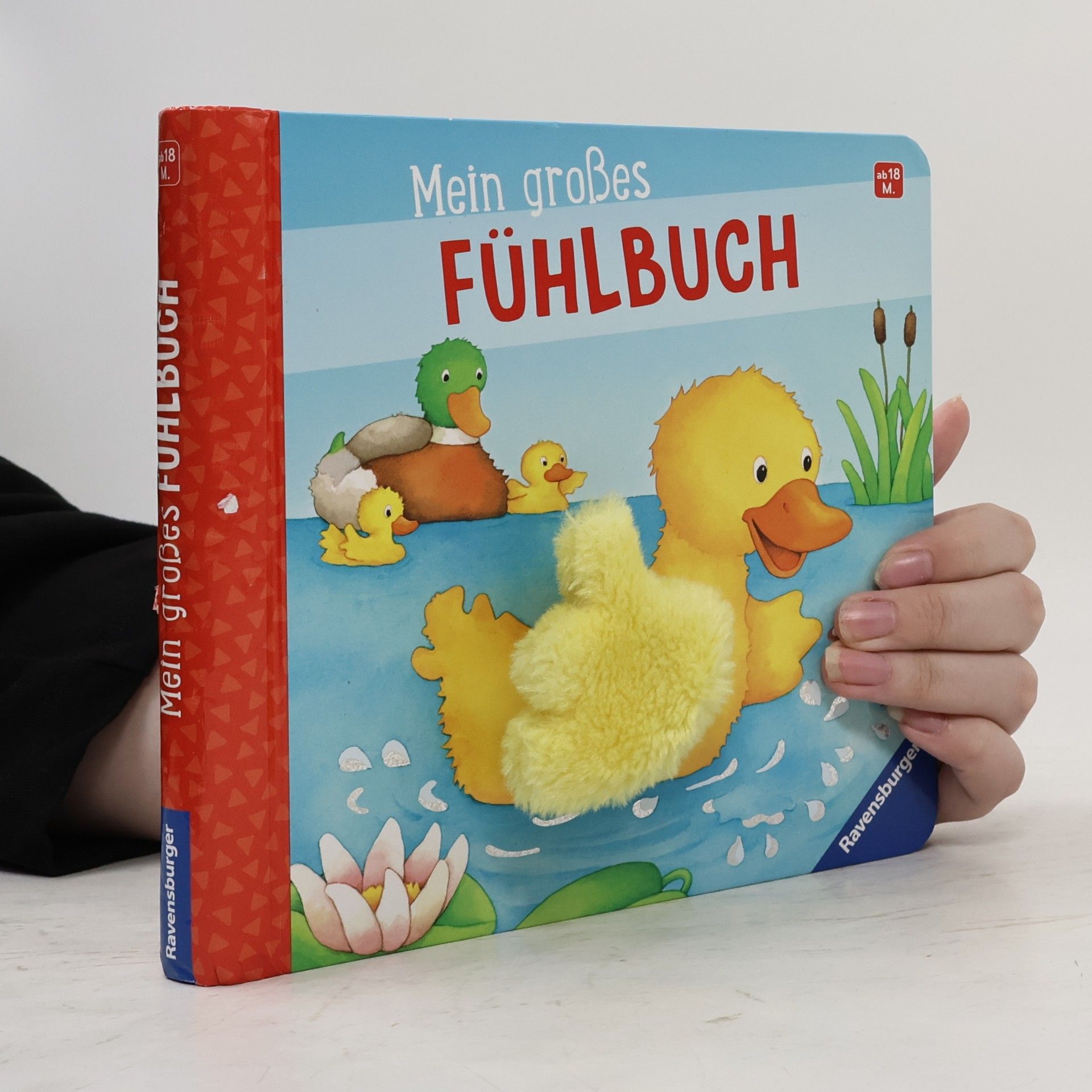 Sandra Grimm Mein großes Fühlbuch