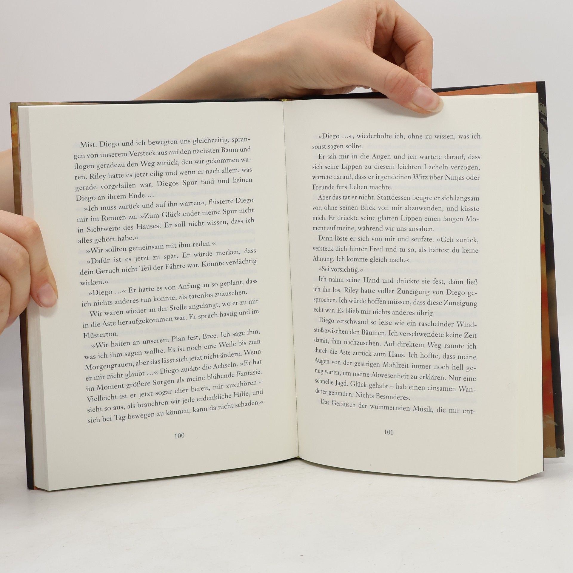 Stephenie Meyer Biss zum ersten Sonnenstrahl