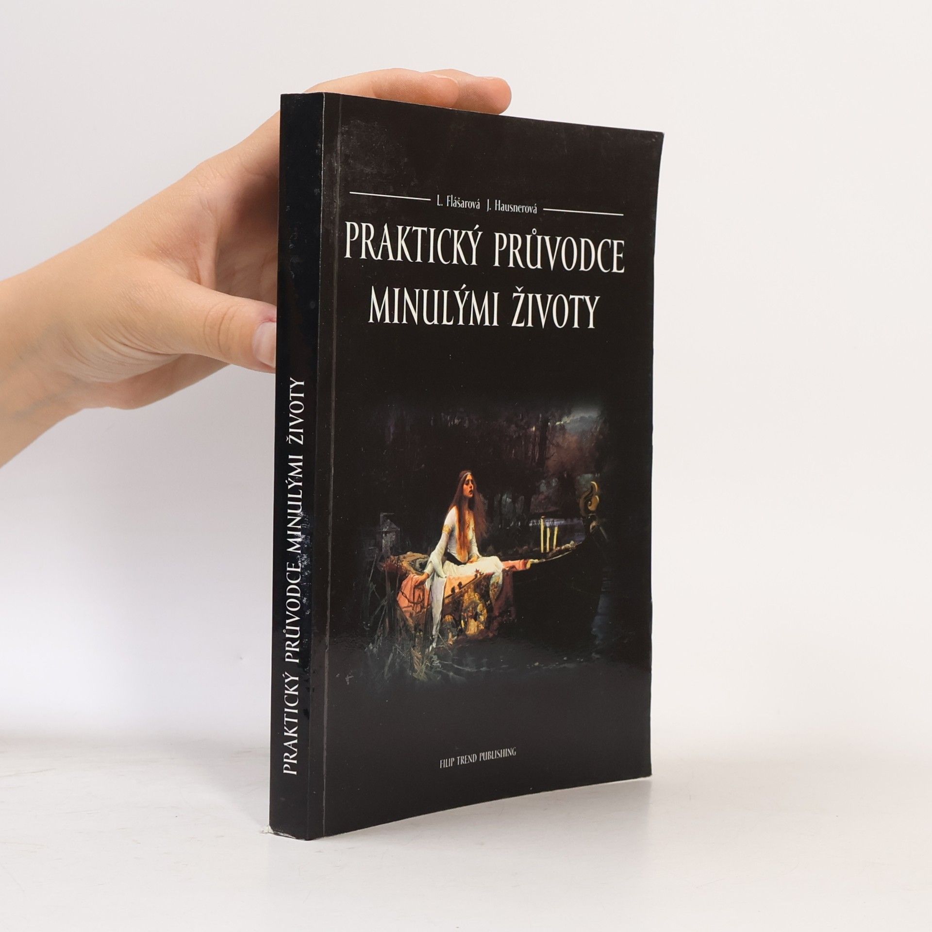 Praktický průvodce minulými životy