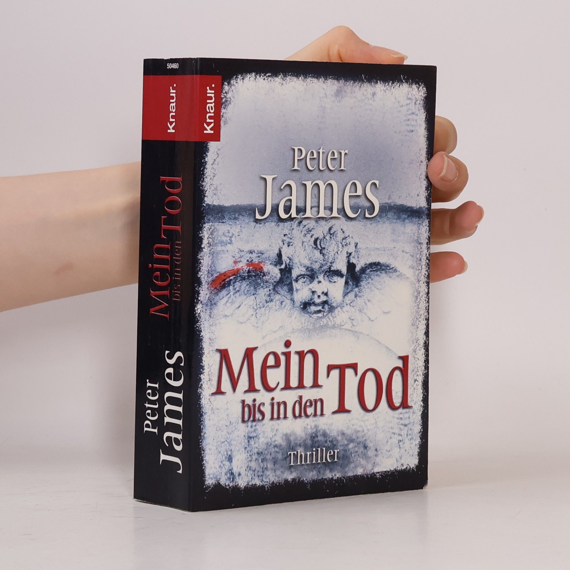 Peter James Mein bis in den Tod